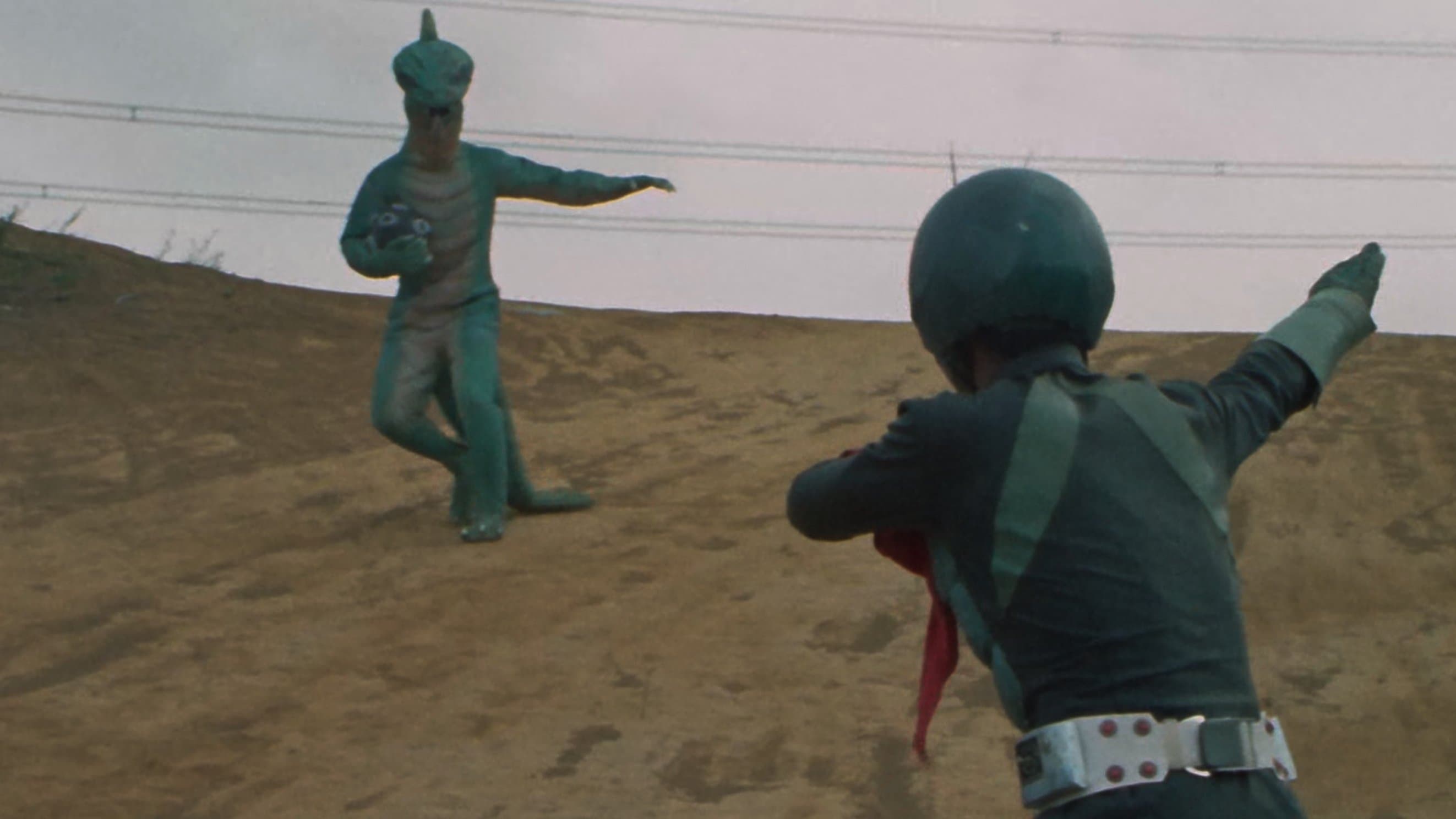 ゴーゴー仮面ライダー