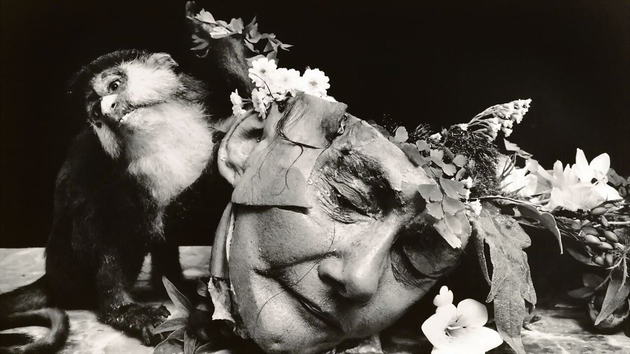 Witkin & Witkin