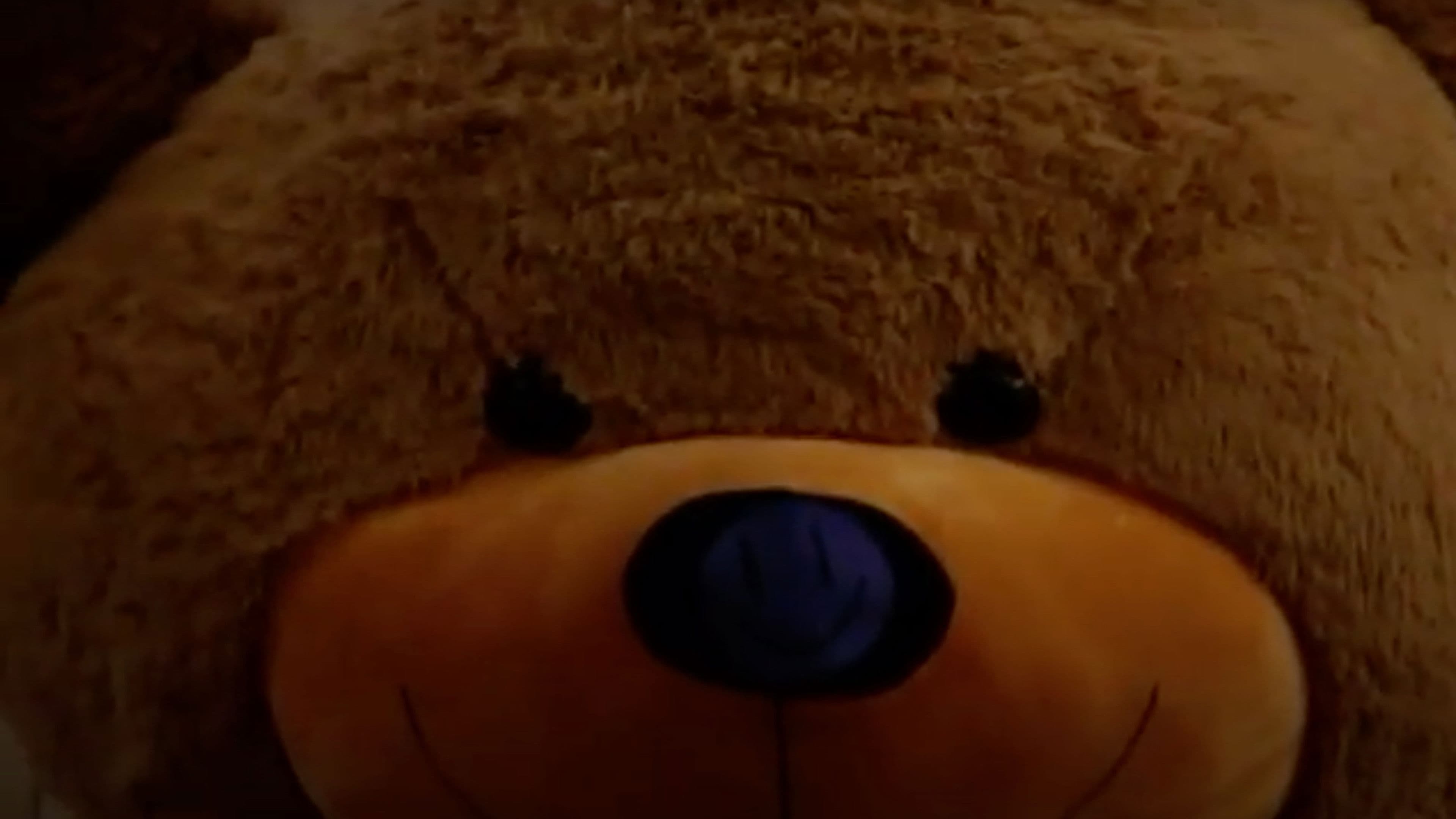 Steven's Last Night in Town