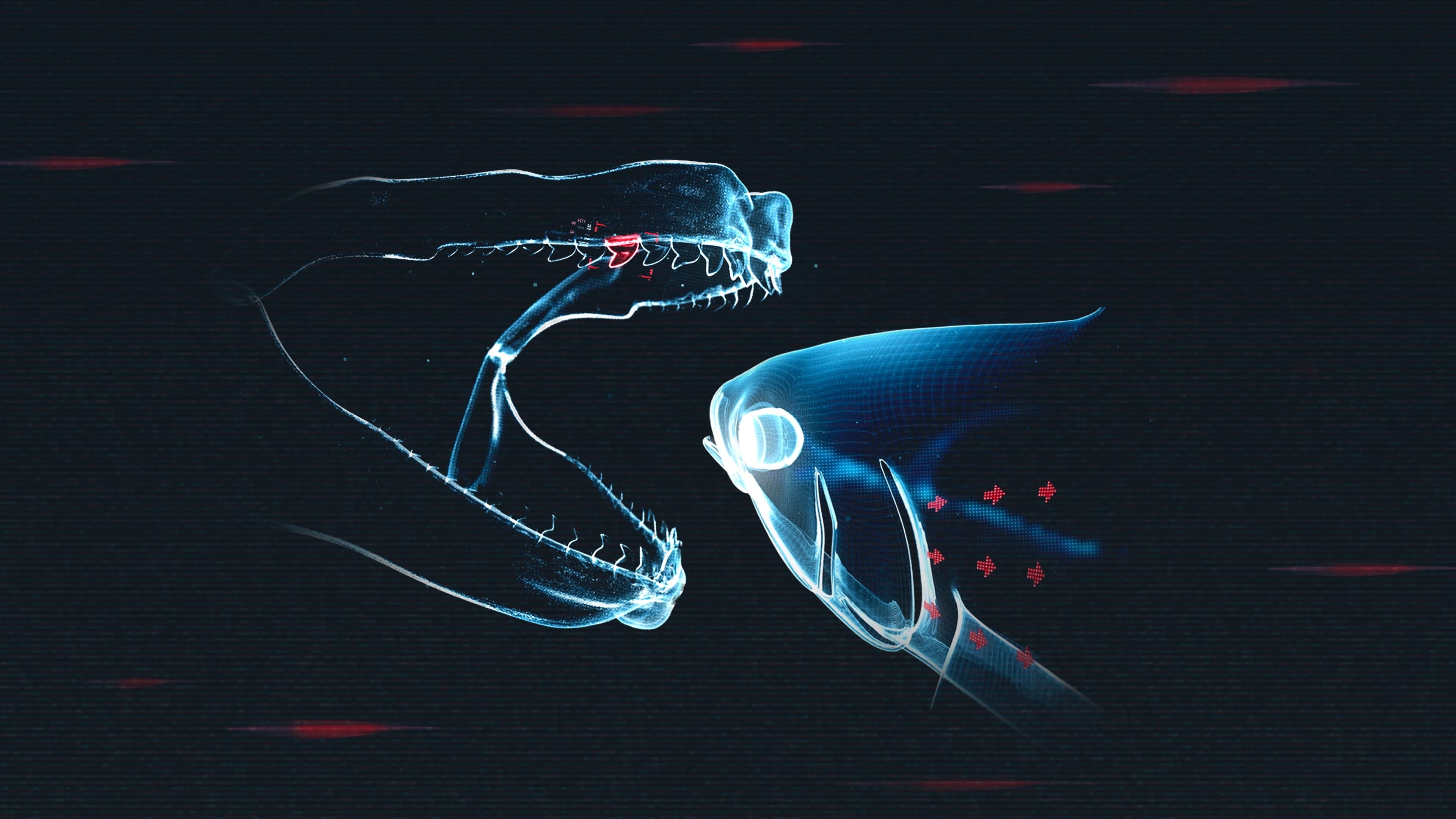 Requins contre Thons