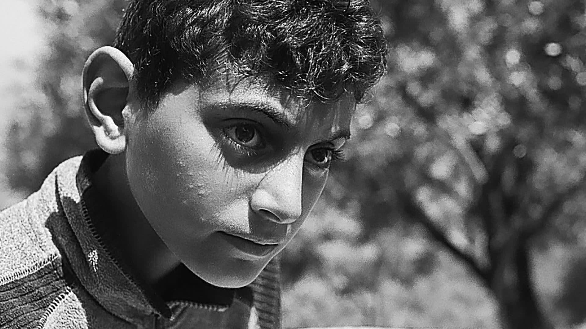 Vous êtes tous des capitaines