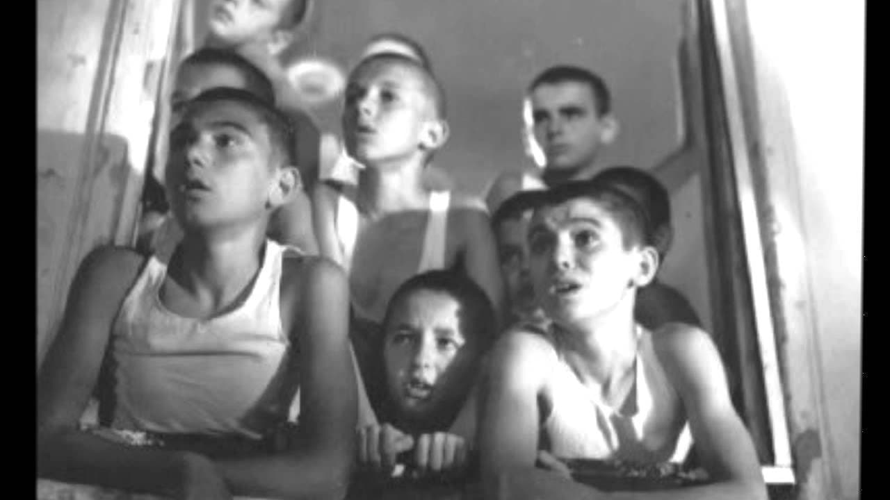 Coquelicots rouges sur les murs