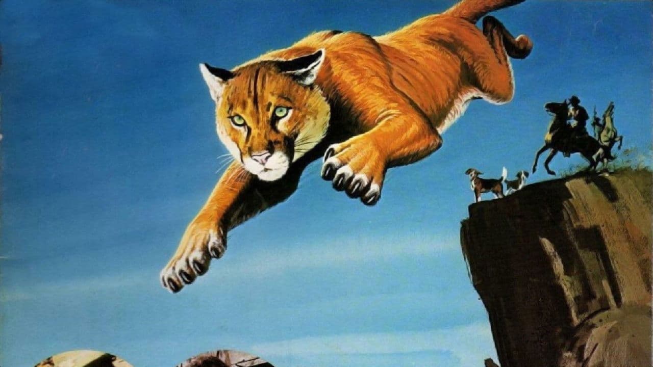 Cours, couguar, cours