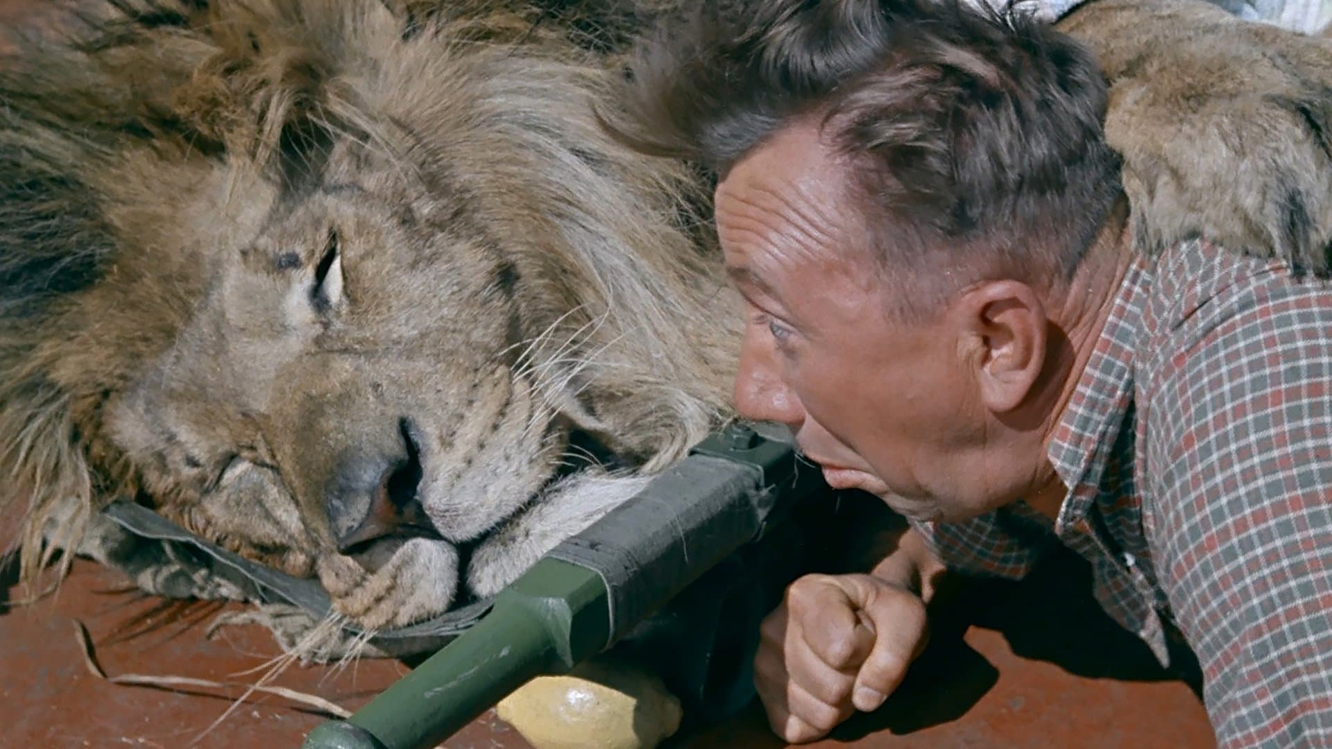 La Croisière Tigrée