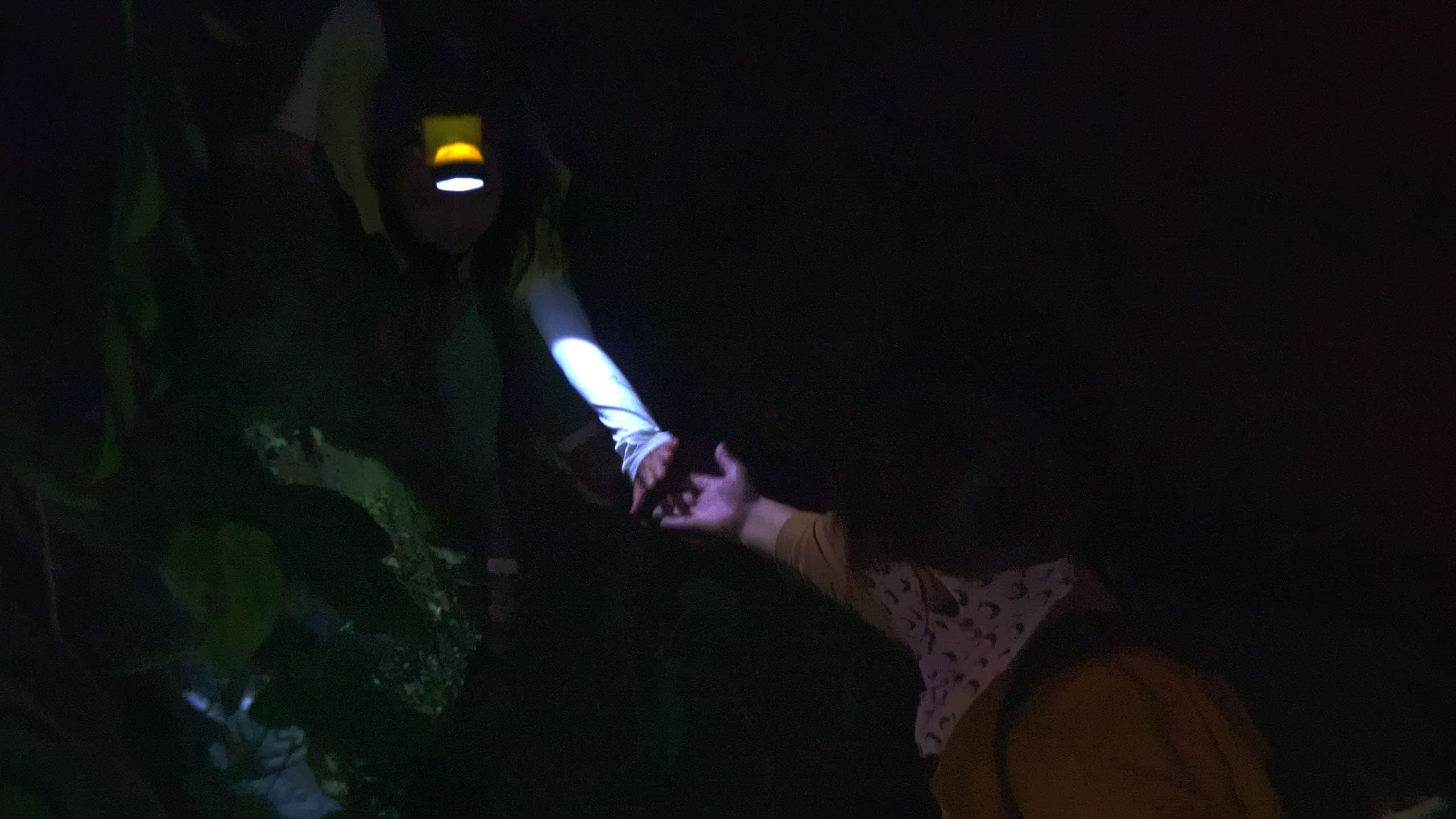 Corée du Nord : Le Prix de la liberté