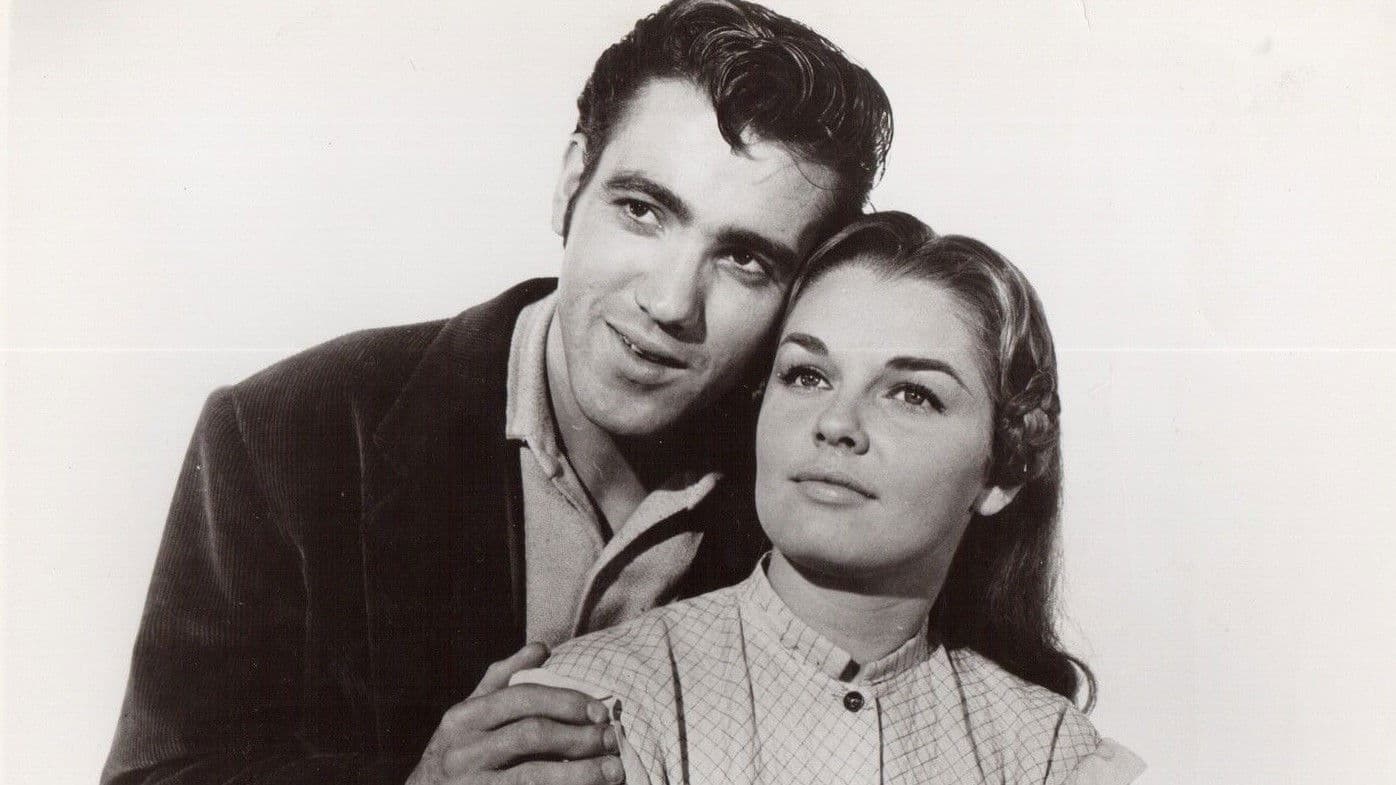 Le petit berger du règne vienne