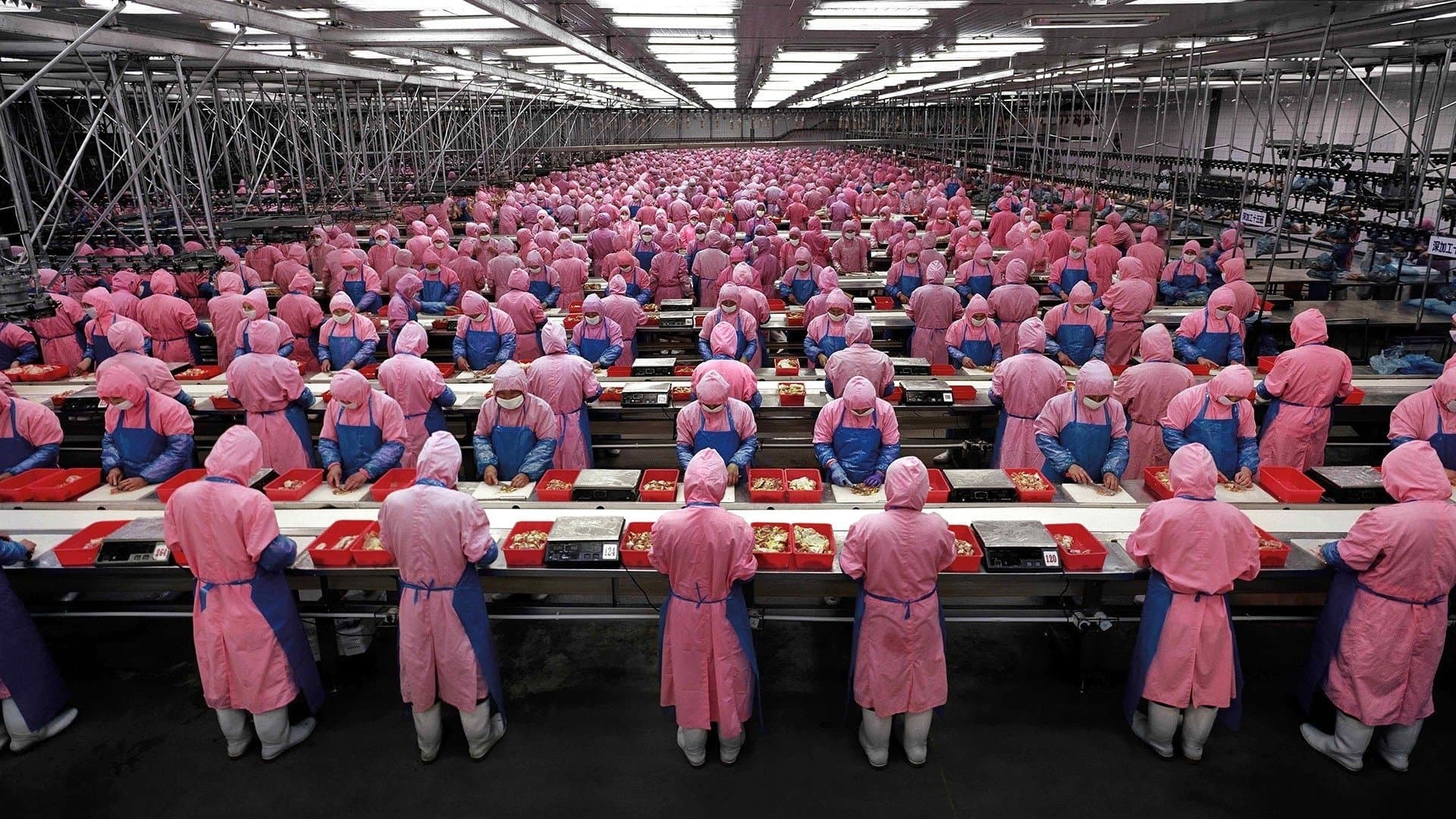 Paysages manufacturés