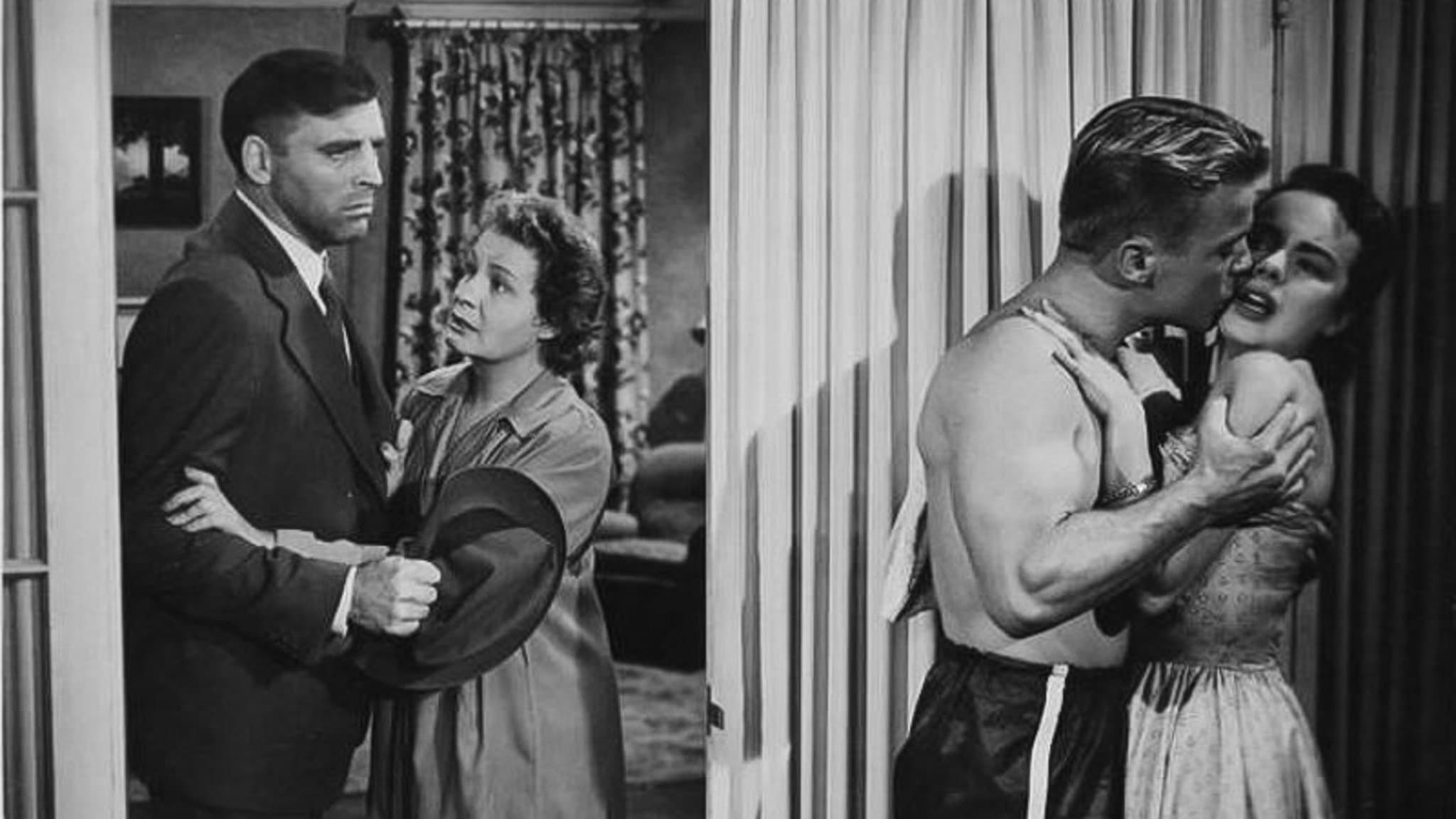 Reviens petite Sheba