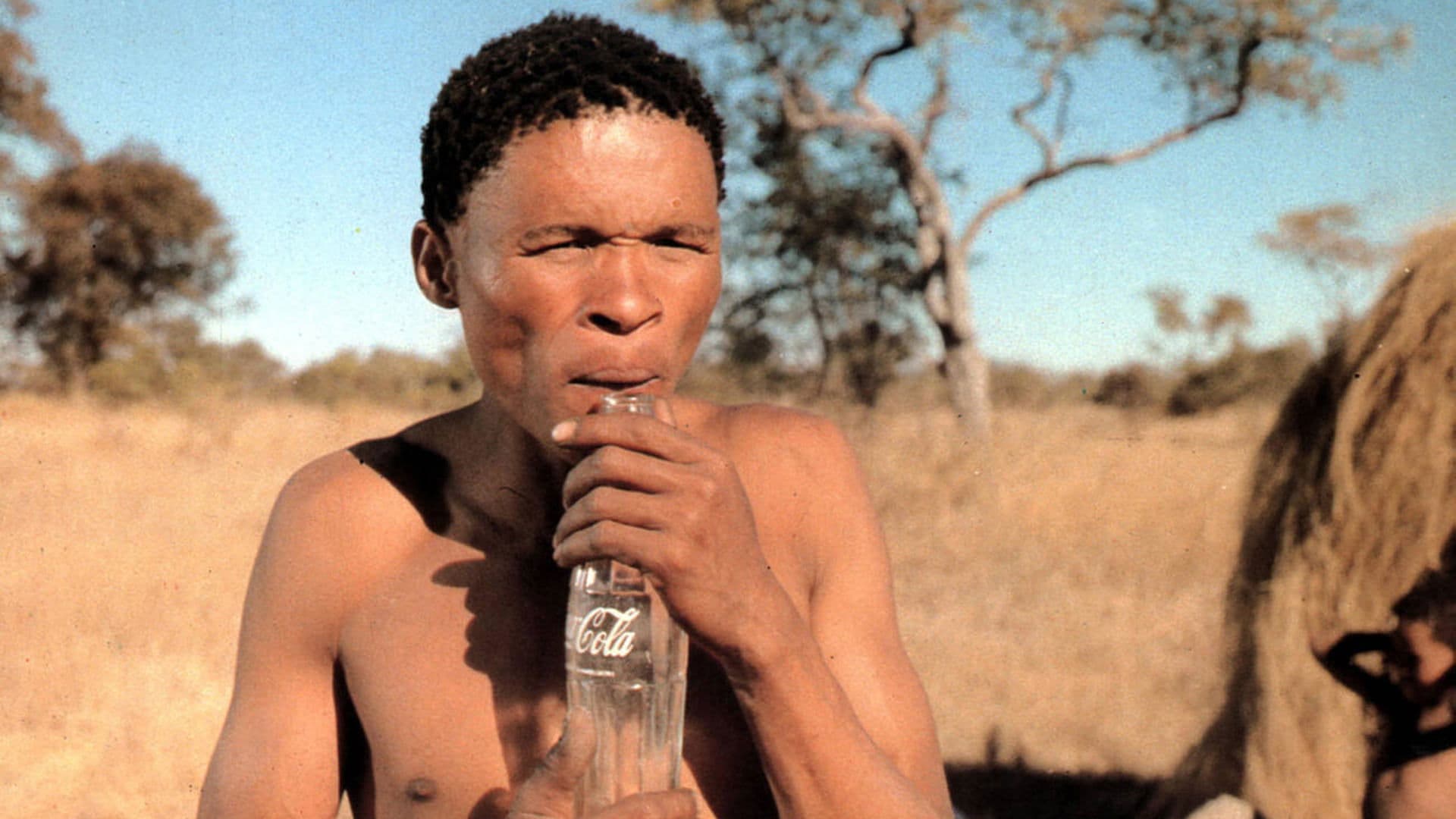 Les Dieux sont tombés sur la tête