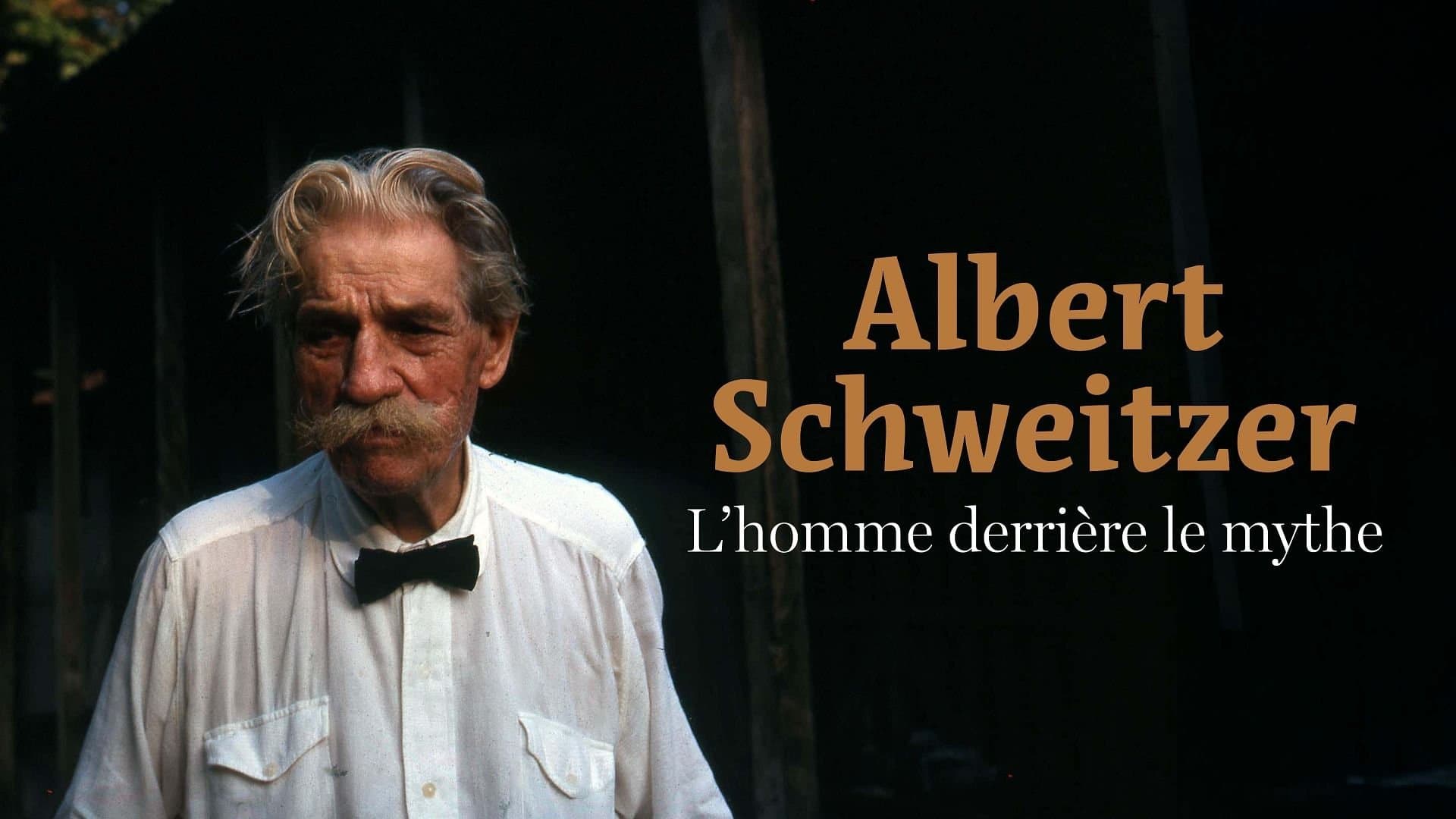 Albert Schweitzer, l'homme derrière le mythe