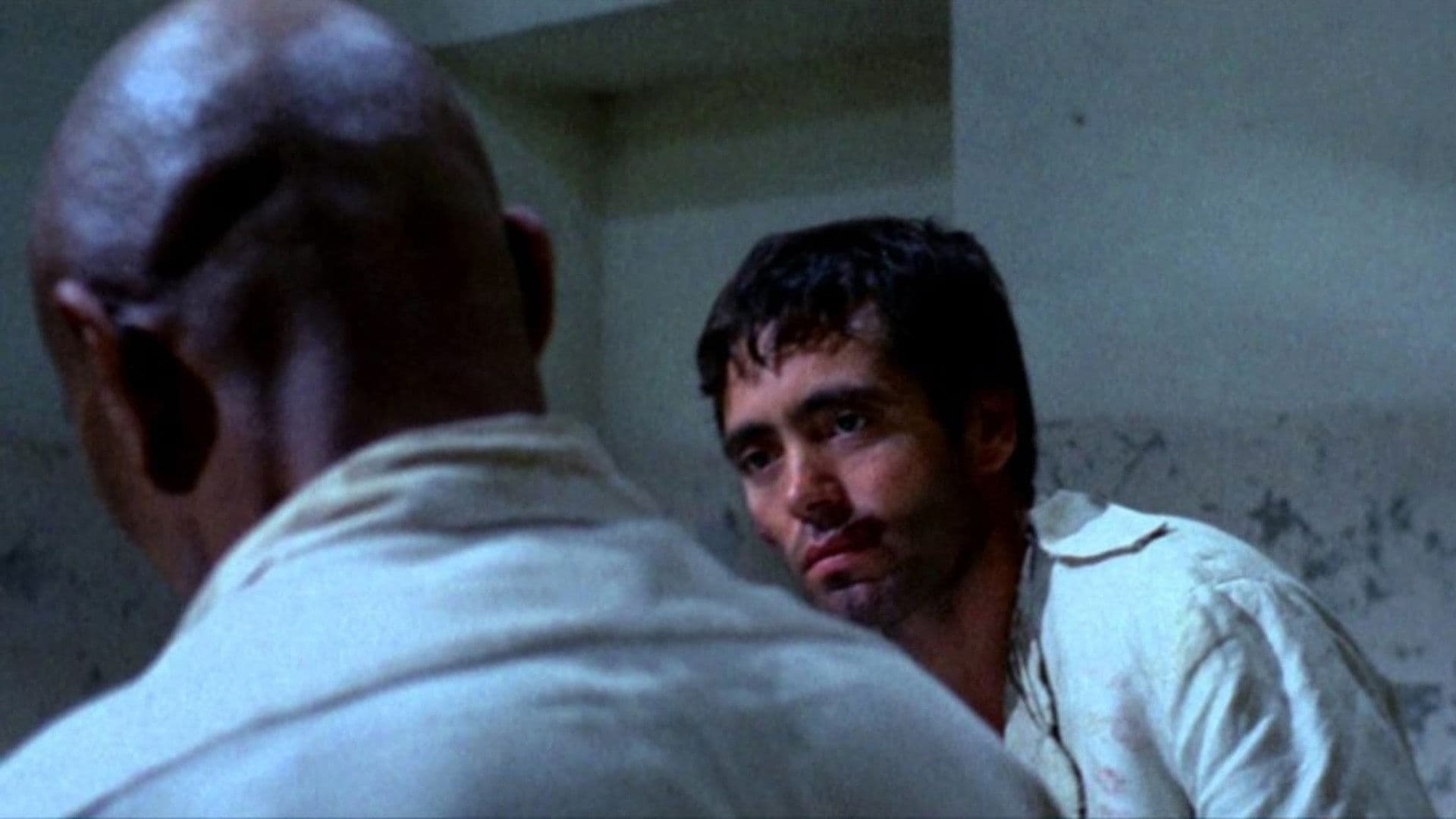 Black Jesus, assis à sa droite