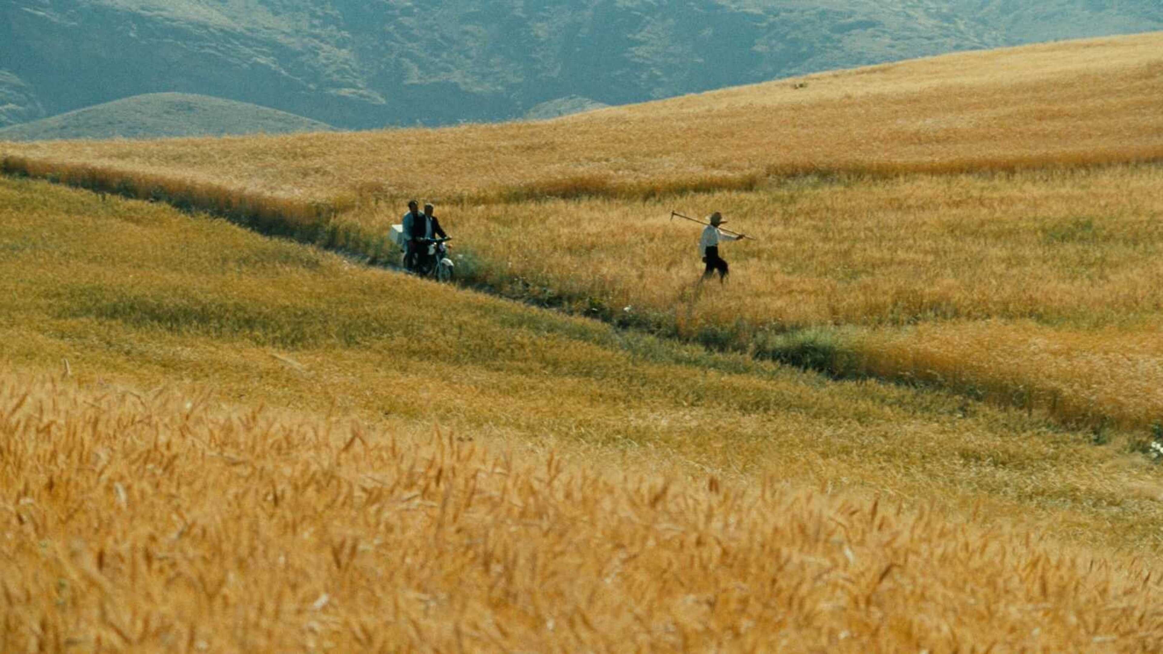 Le Vent nous emportera