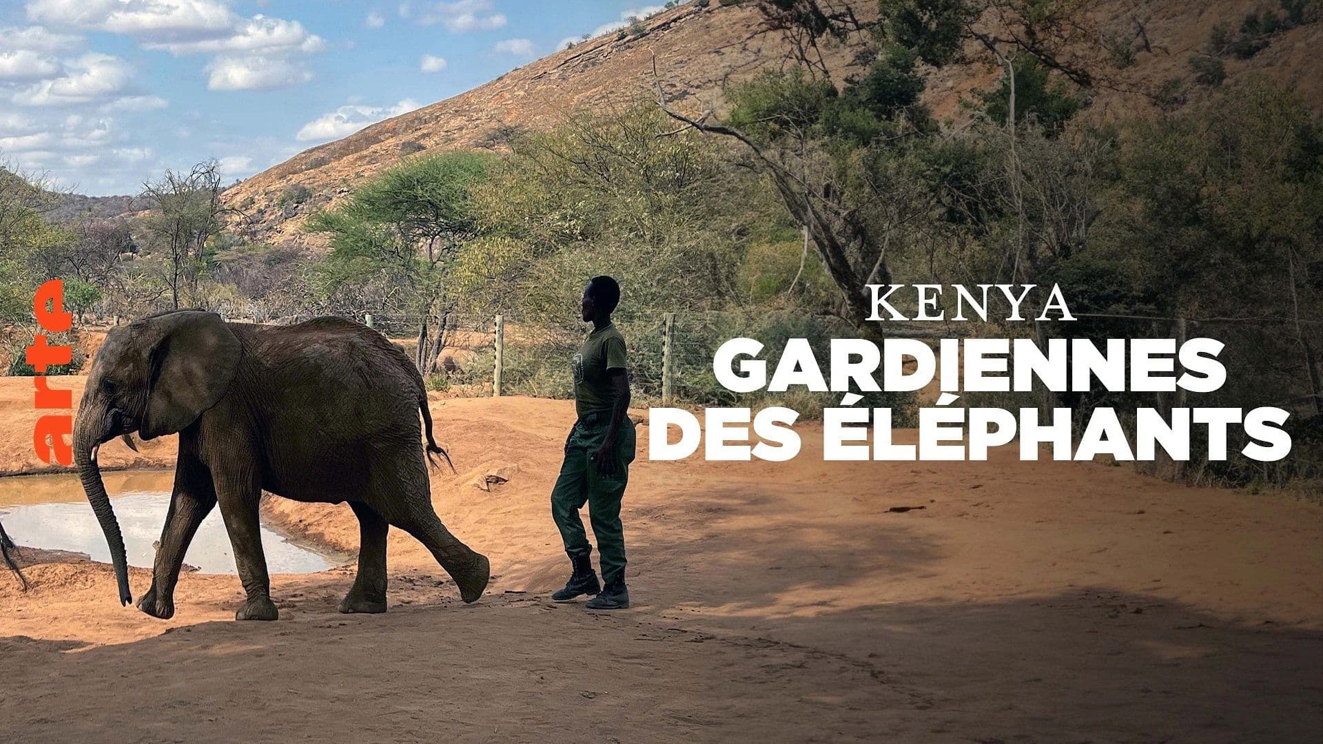 Kenya, Gardiennes des éléphants