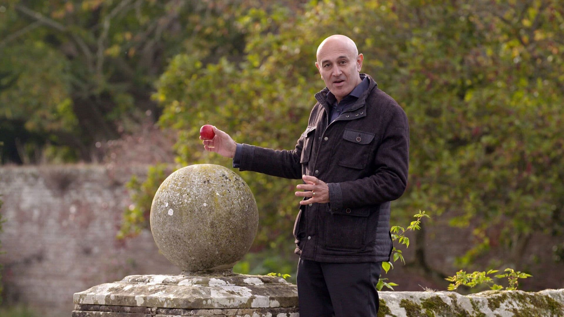 Le mystère de la gravité