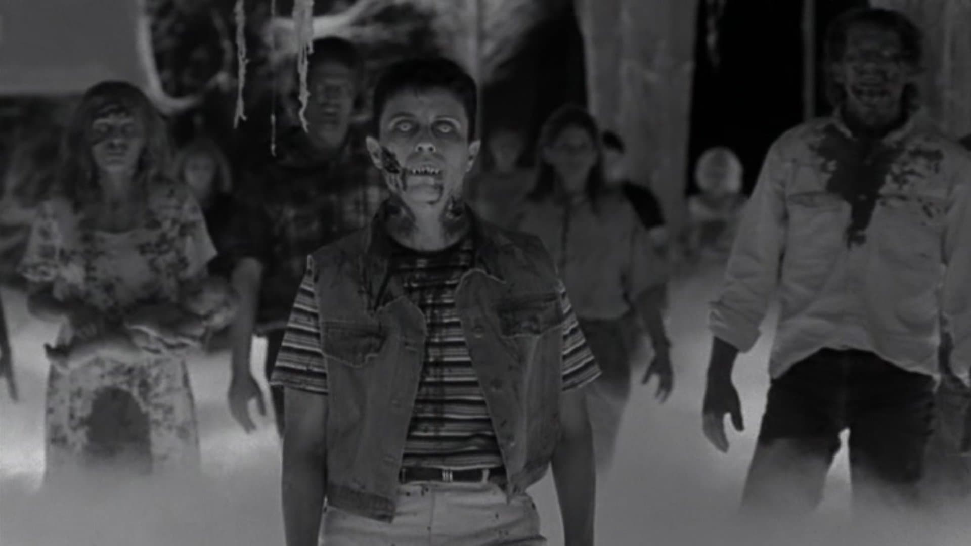 Les Ailes de la Nuit