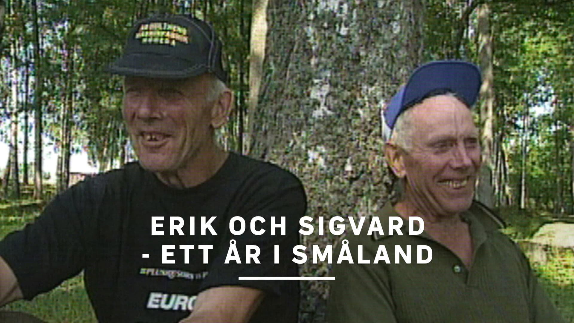 Erik och Sigvard: Ett år i Småland