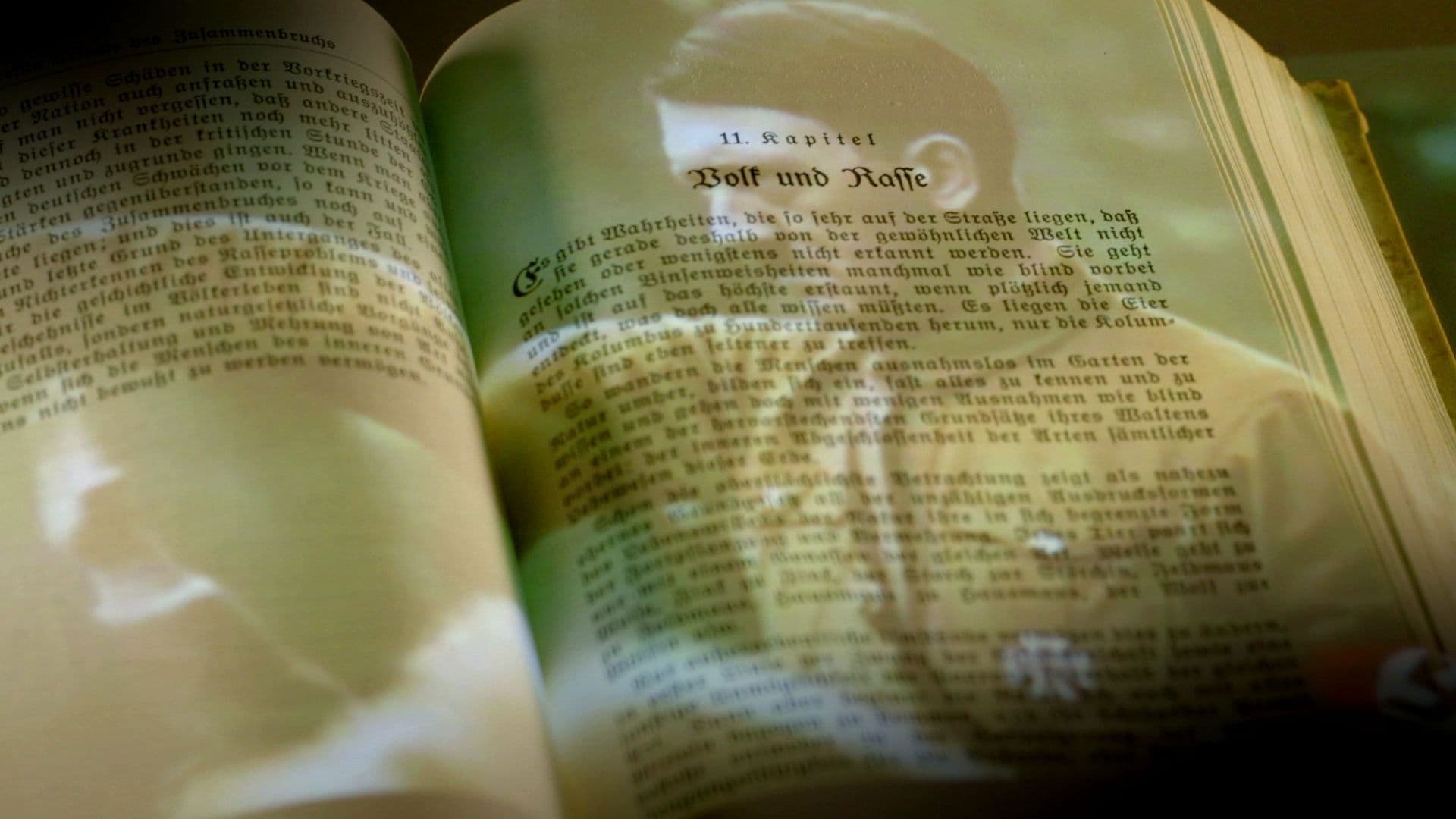 Mein Kampf, manifeste de la haine