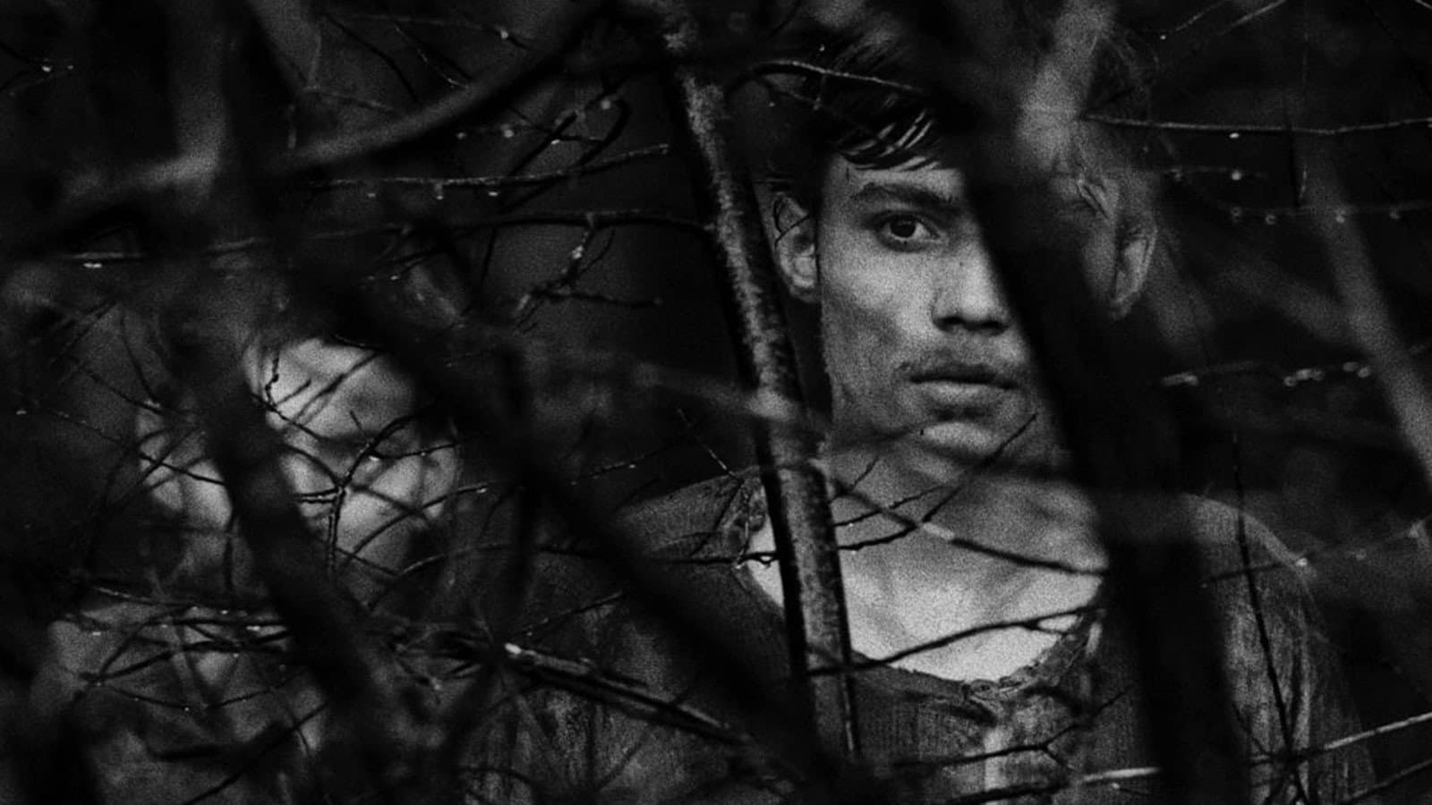 Les Diamants de la Nuit