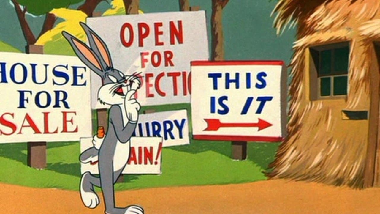 Un lapin dans le vent