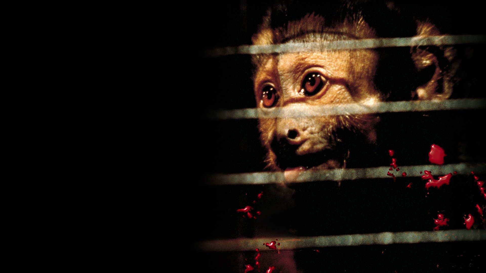 Incidents de parcours