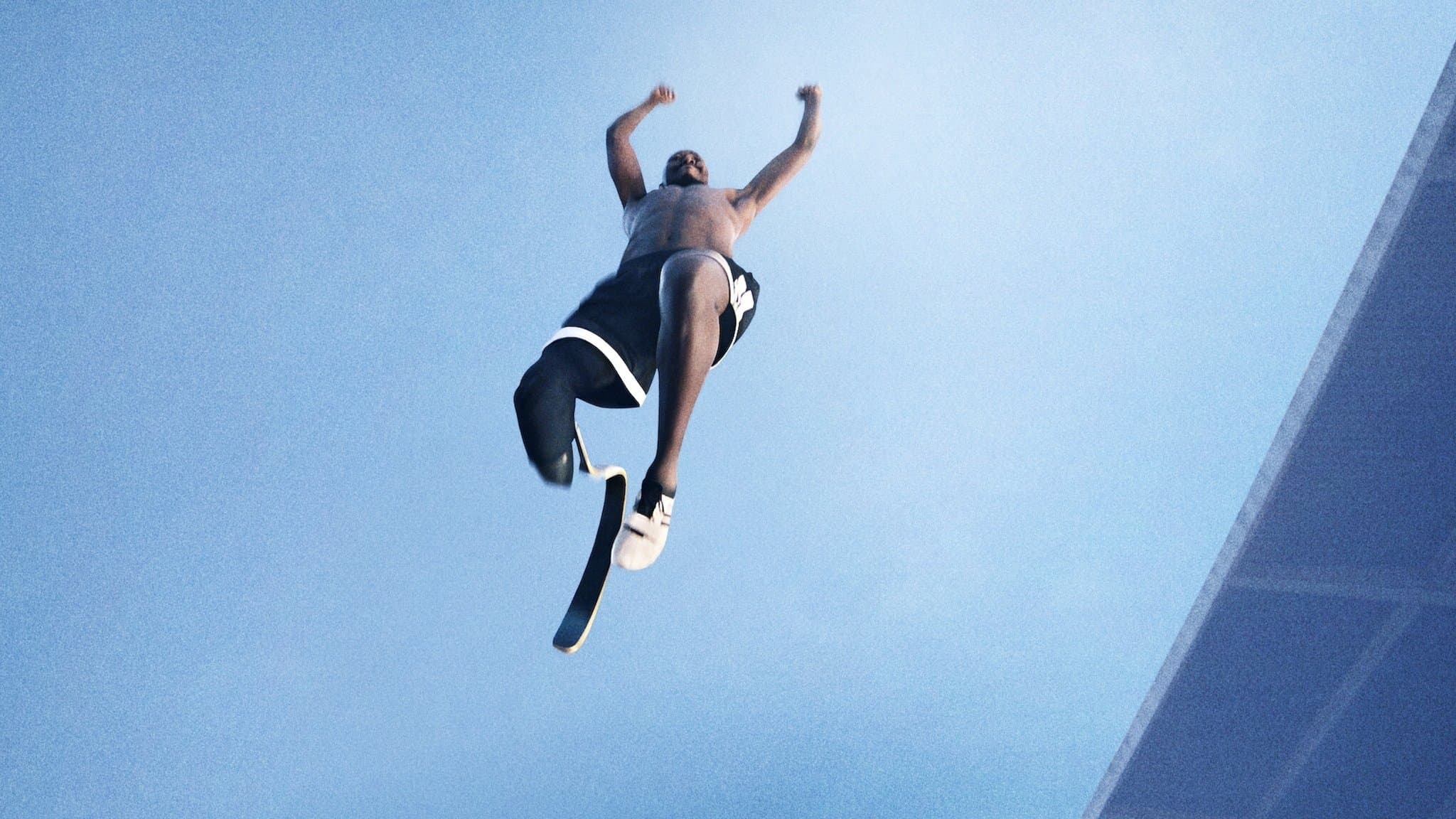 Comme des phénix : L'esprit paralympique