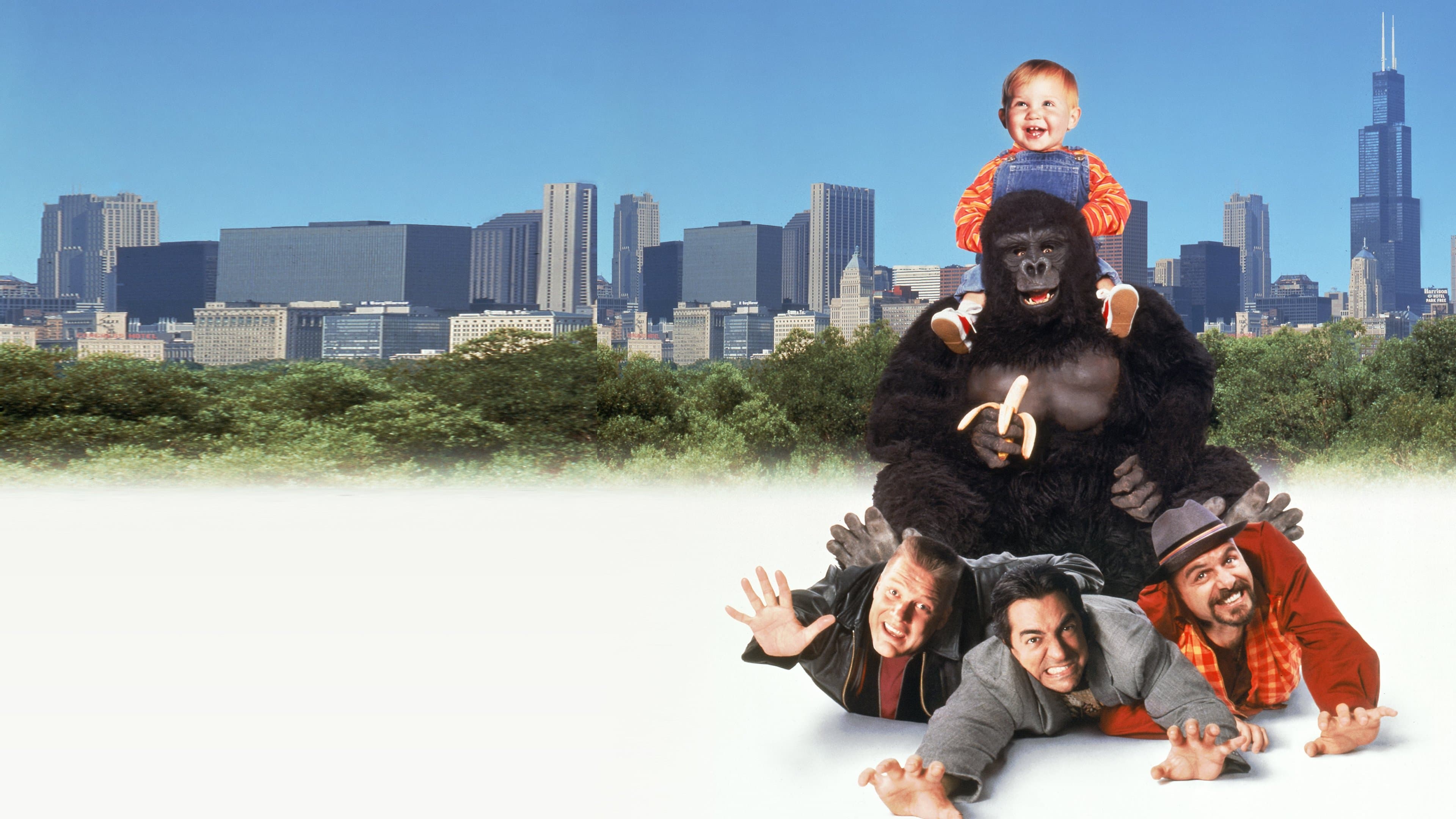 Bébé part en vadrouille