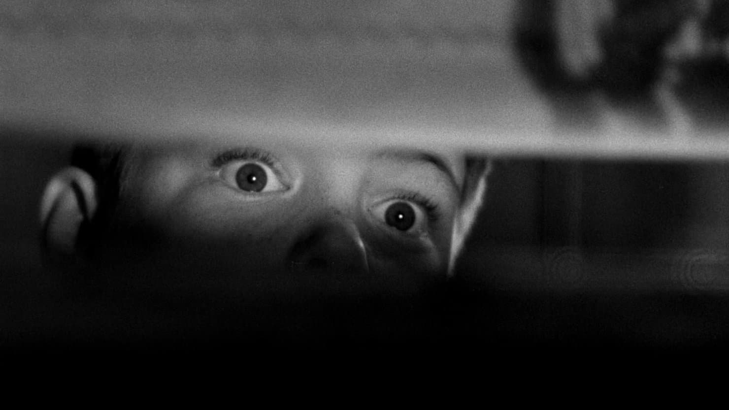 Une Incroyable histoire