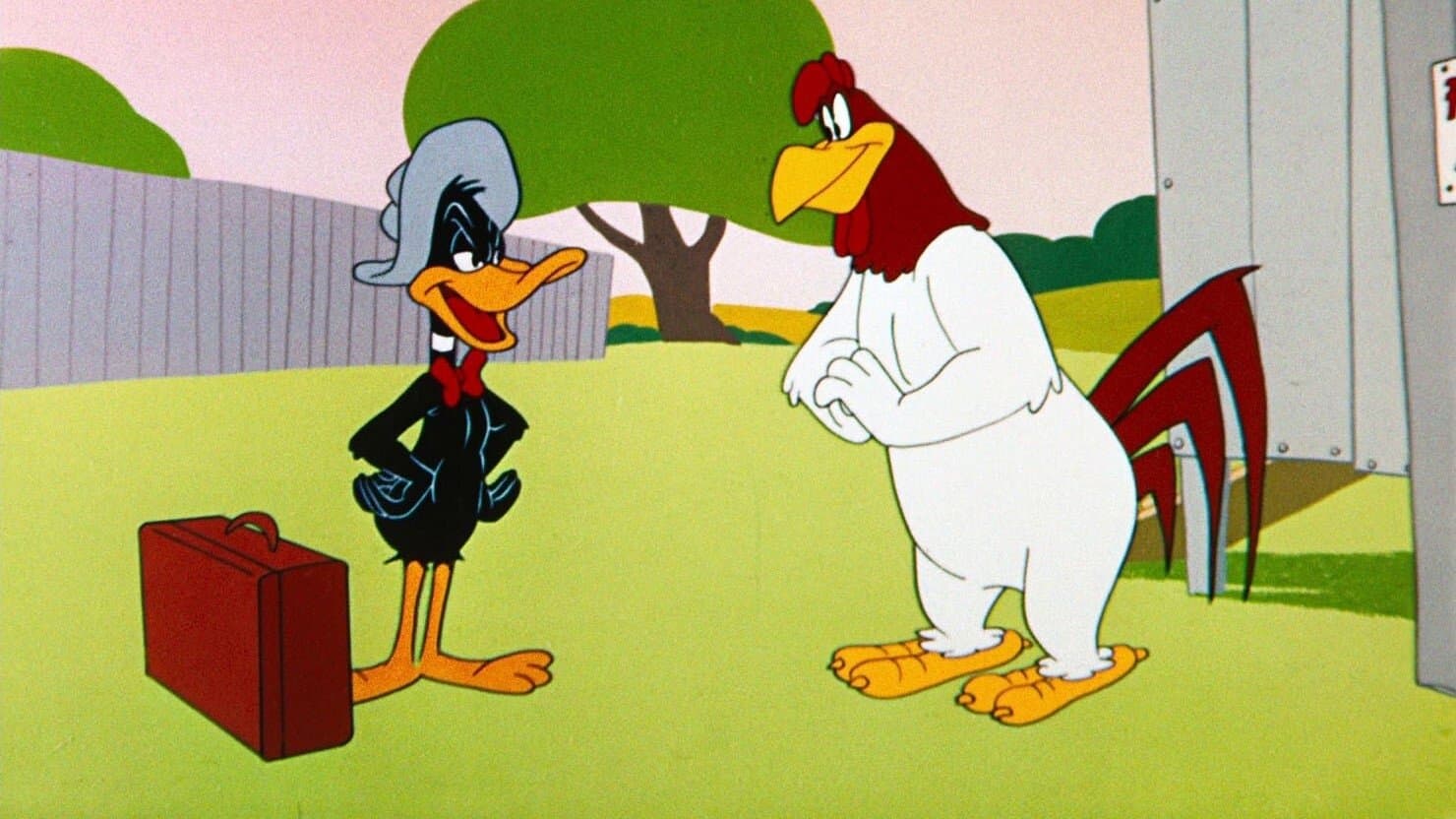 Blagues dans le coin-coin