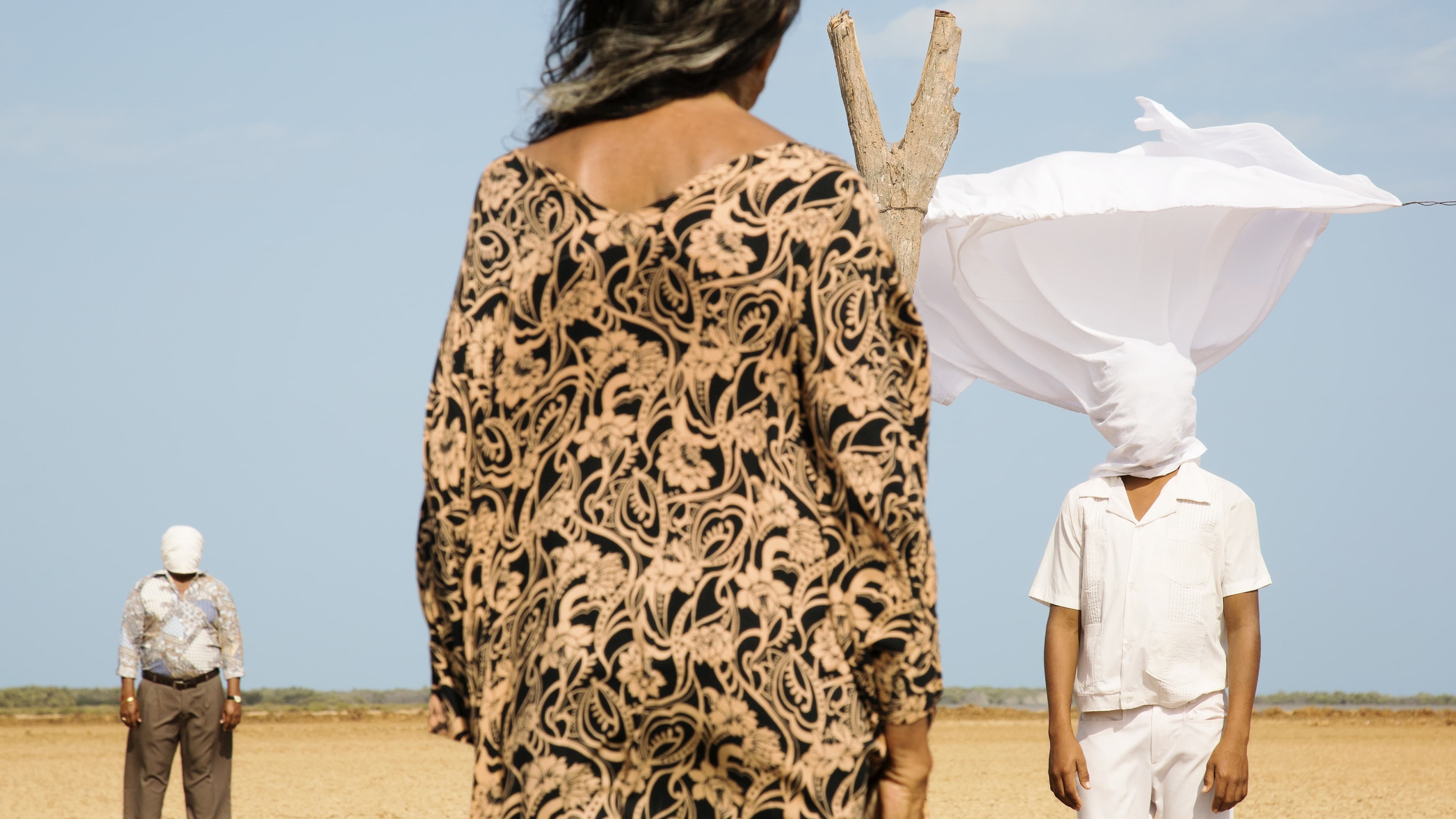 Les Oiseaux de passage