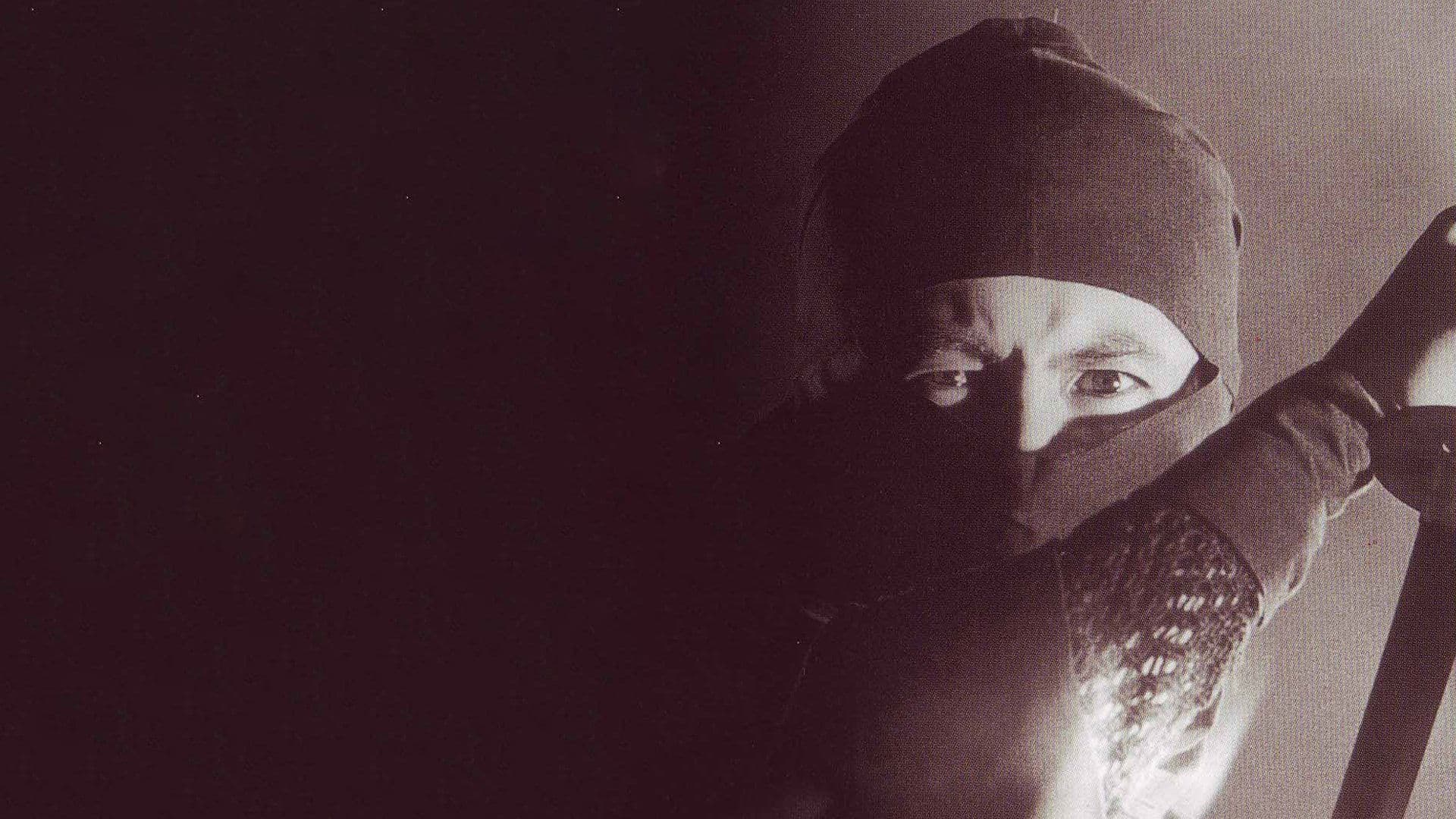 忍びの者 新・霧隠才蔵