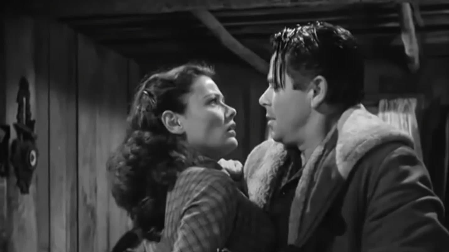 L'Énigme du lac noir