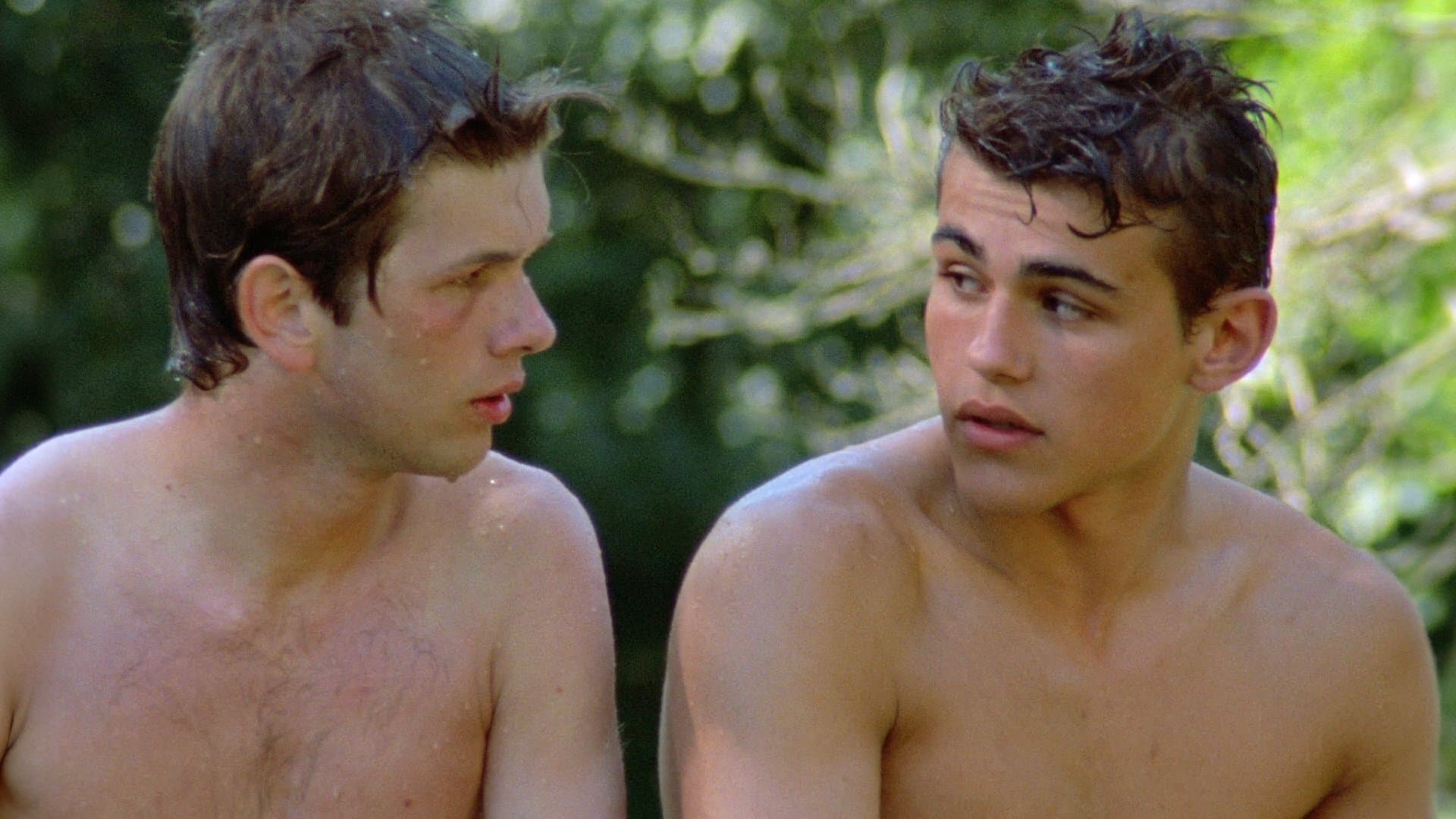 Les Roseaux sauvages