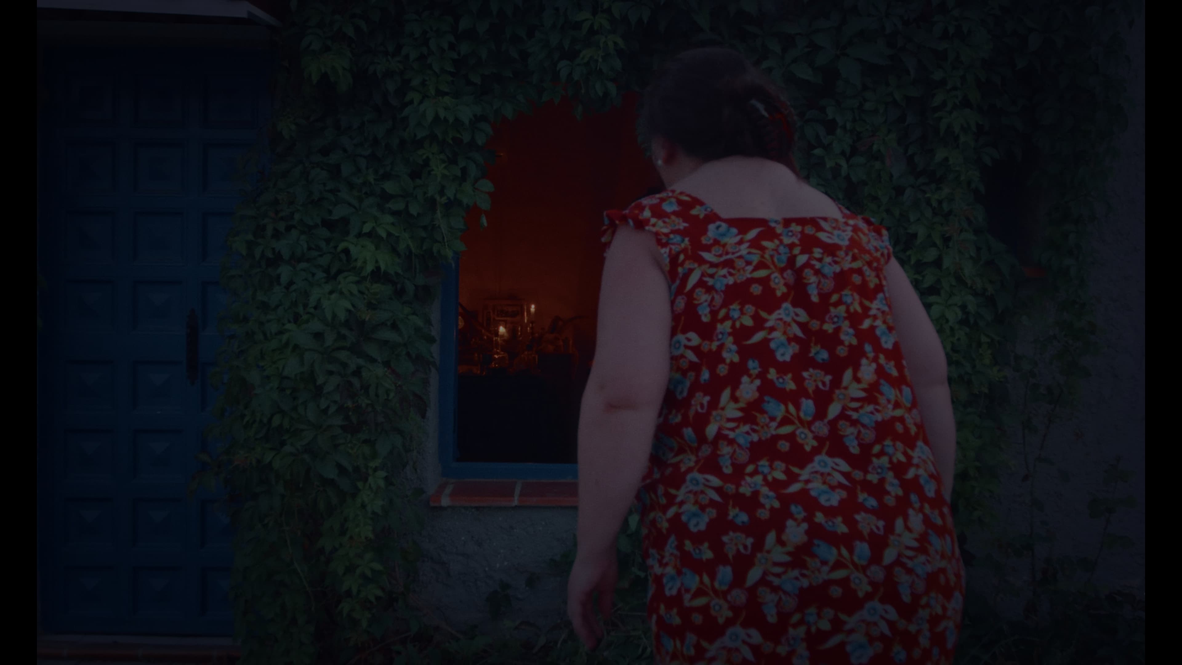 La Curiosidad Mató al Gato