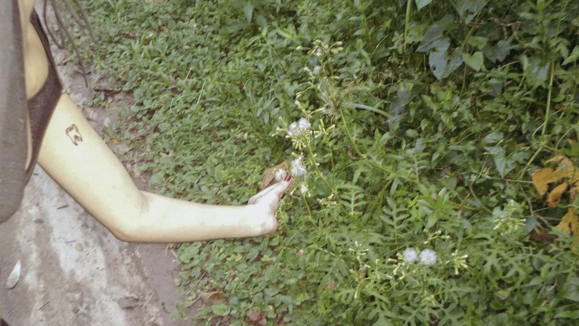 o céu diante dos meus olhos nunca é cinza