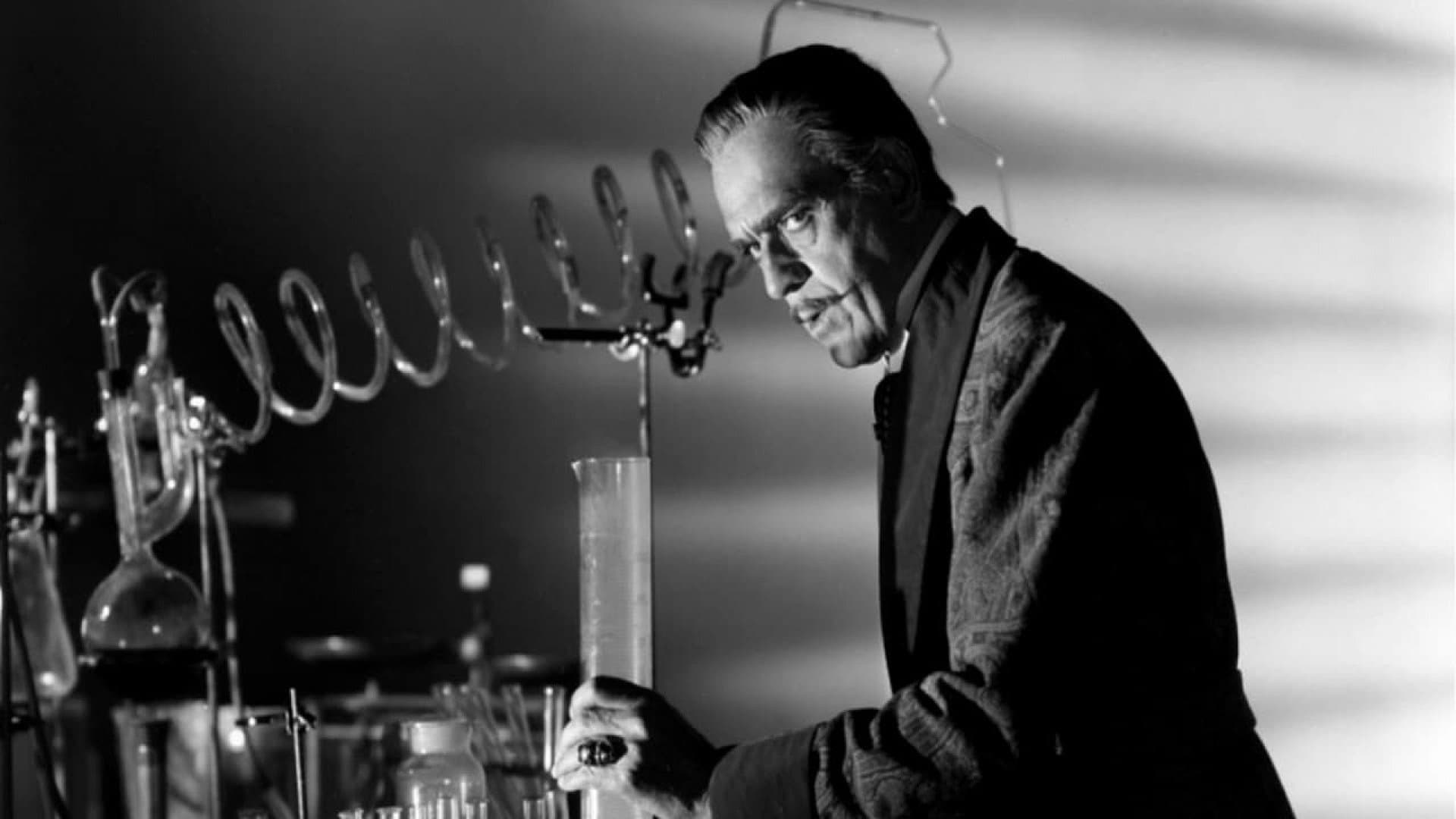 Deux nigauds contre le Docteur Jekyll et M. Hyde