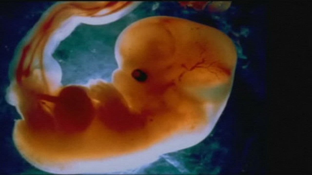 Le Miracle de la vie