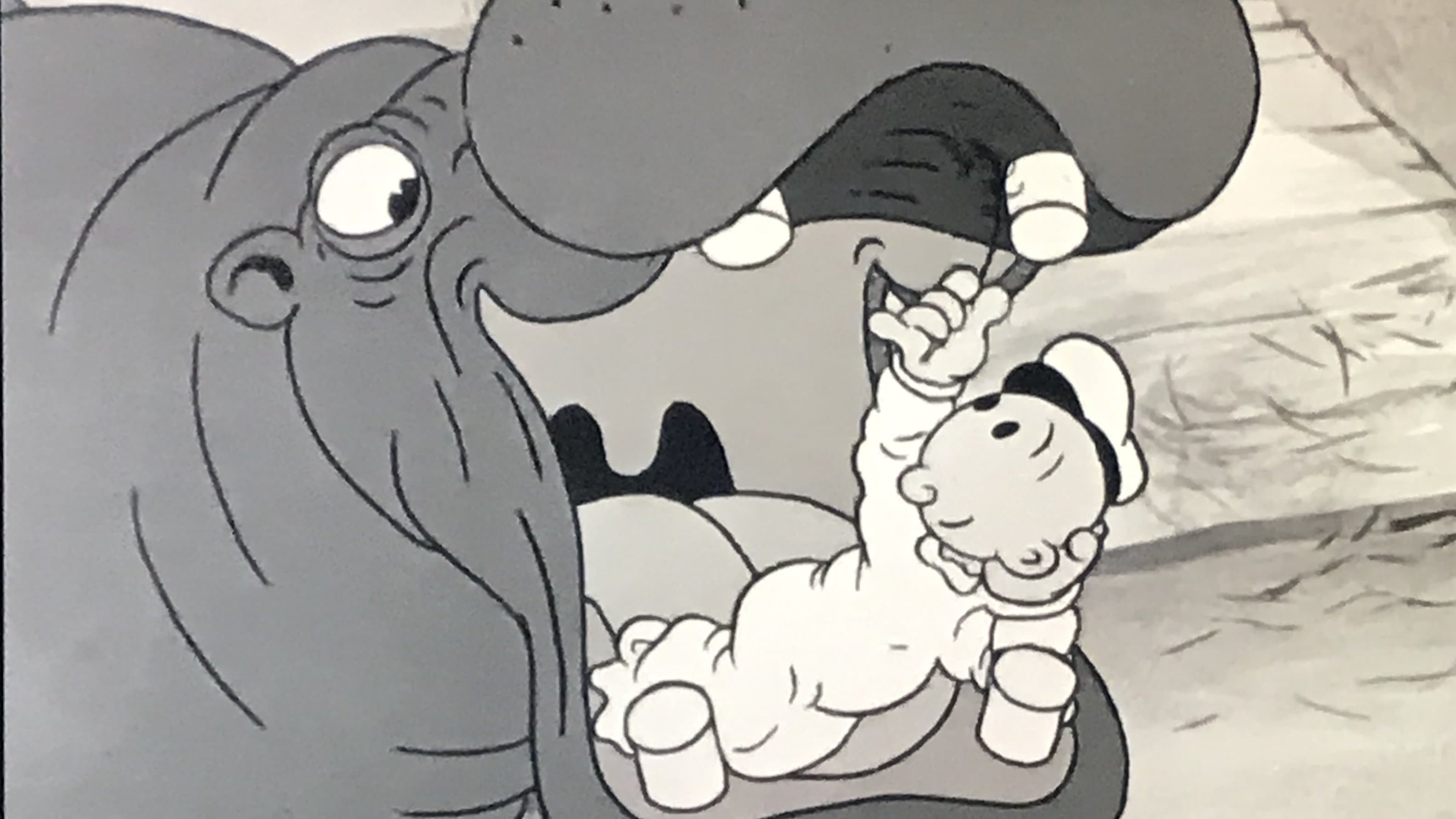 Qu'il est mignon ce Mimosa