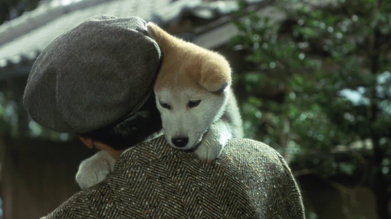 Hachiko, l'histoire vraie d'un chien fidèle