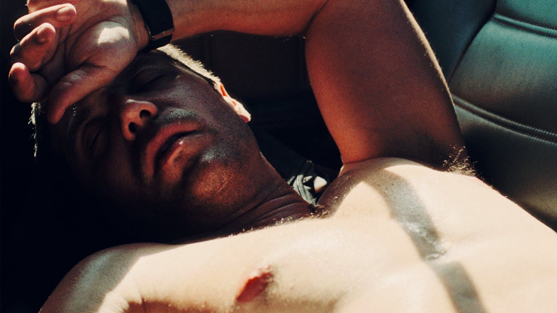 Le champ des possibles