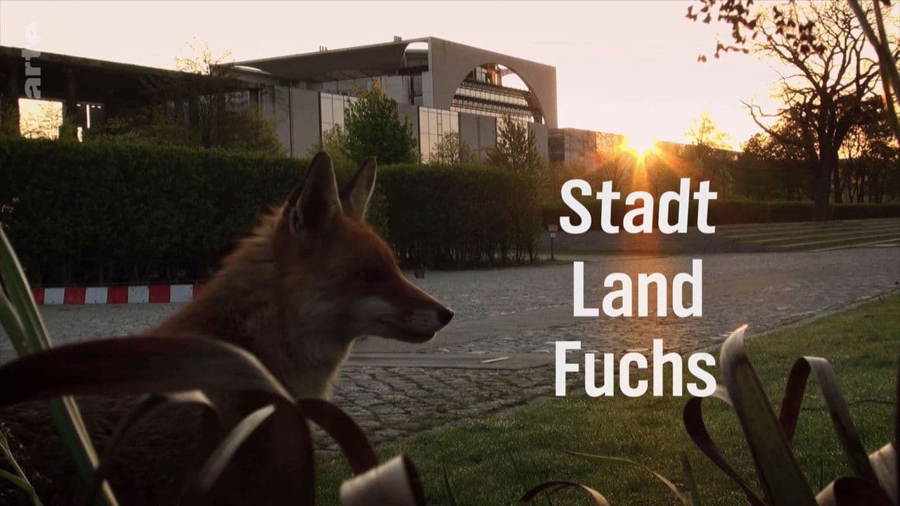 Les renards de Berlin