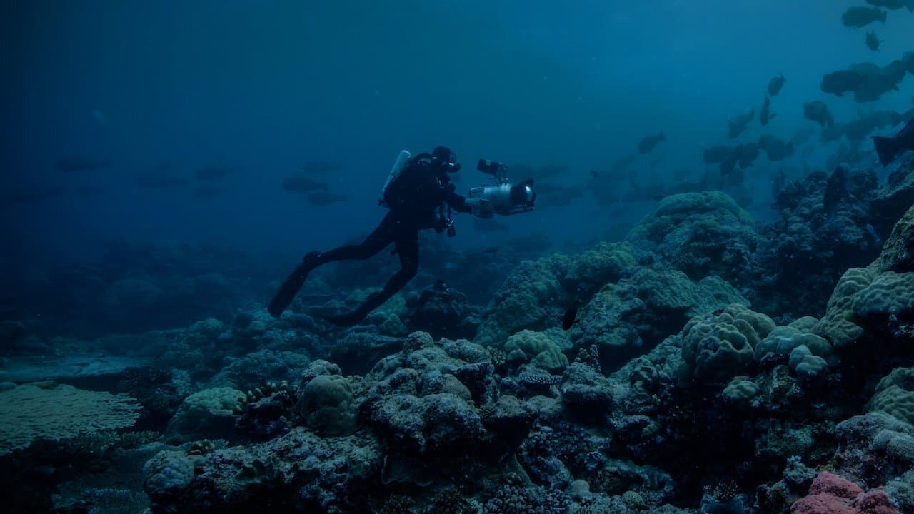 La Terre, La Nuit : La face cachée