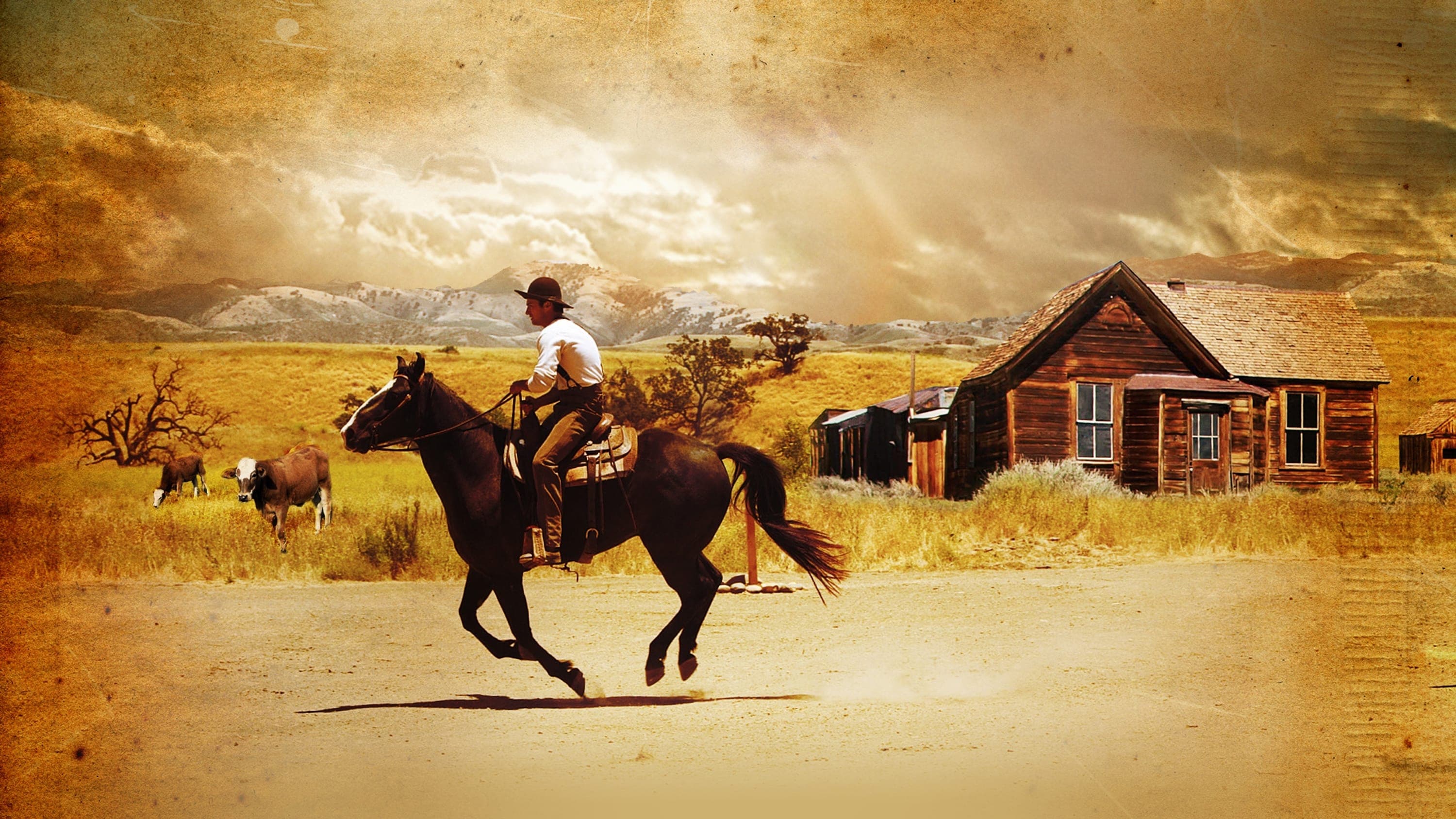 À la conquête d'un cœur II