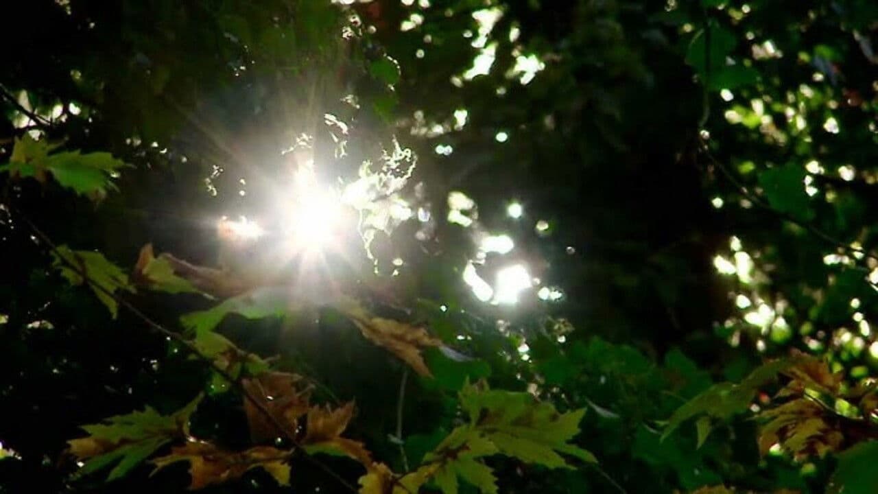 Χρυσός στα Χρόνια της Κρίσης: Ο Θησαυρός της Κασσάνδρας