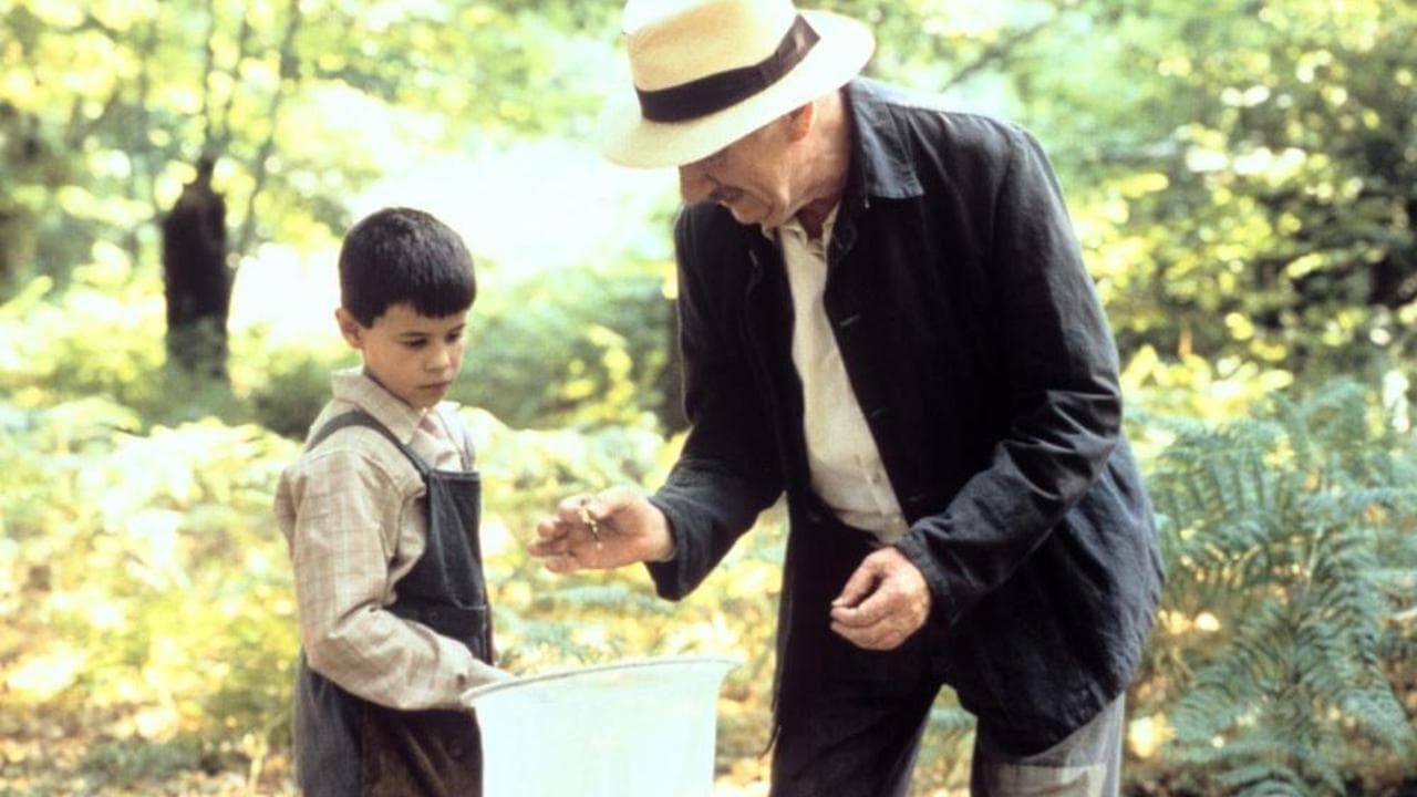 La langue des papillons