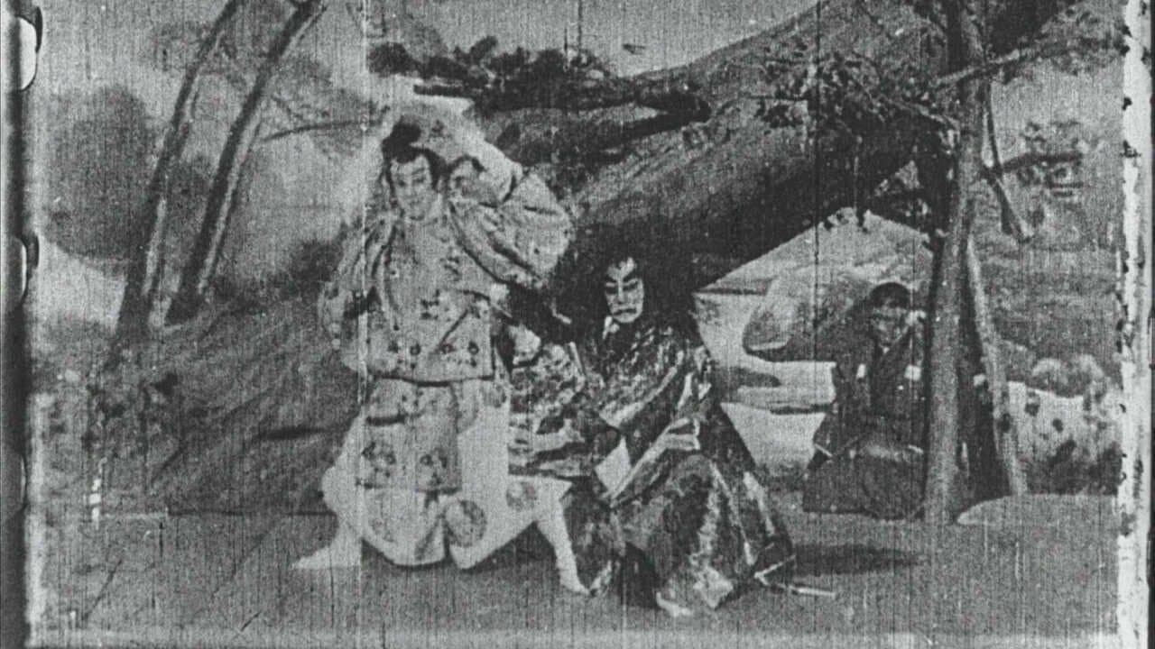 Promenade sous les feuillages de l'érable