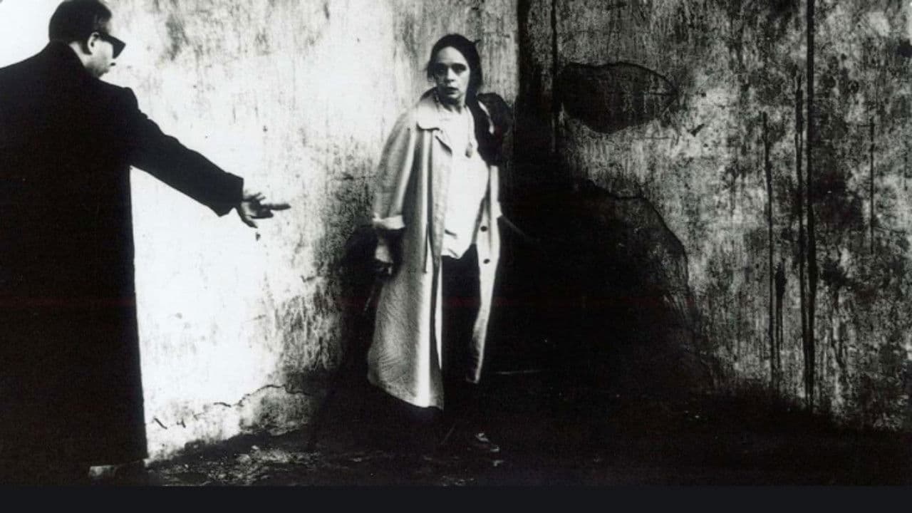 Le reflet dans le miroir