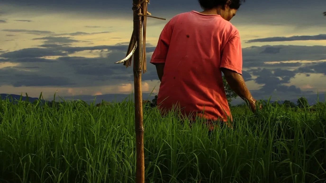 สวรรค์บ้านนา