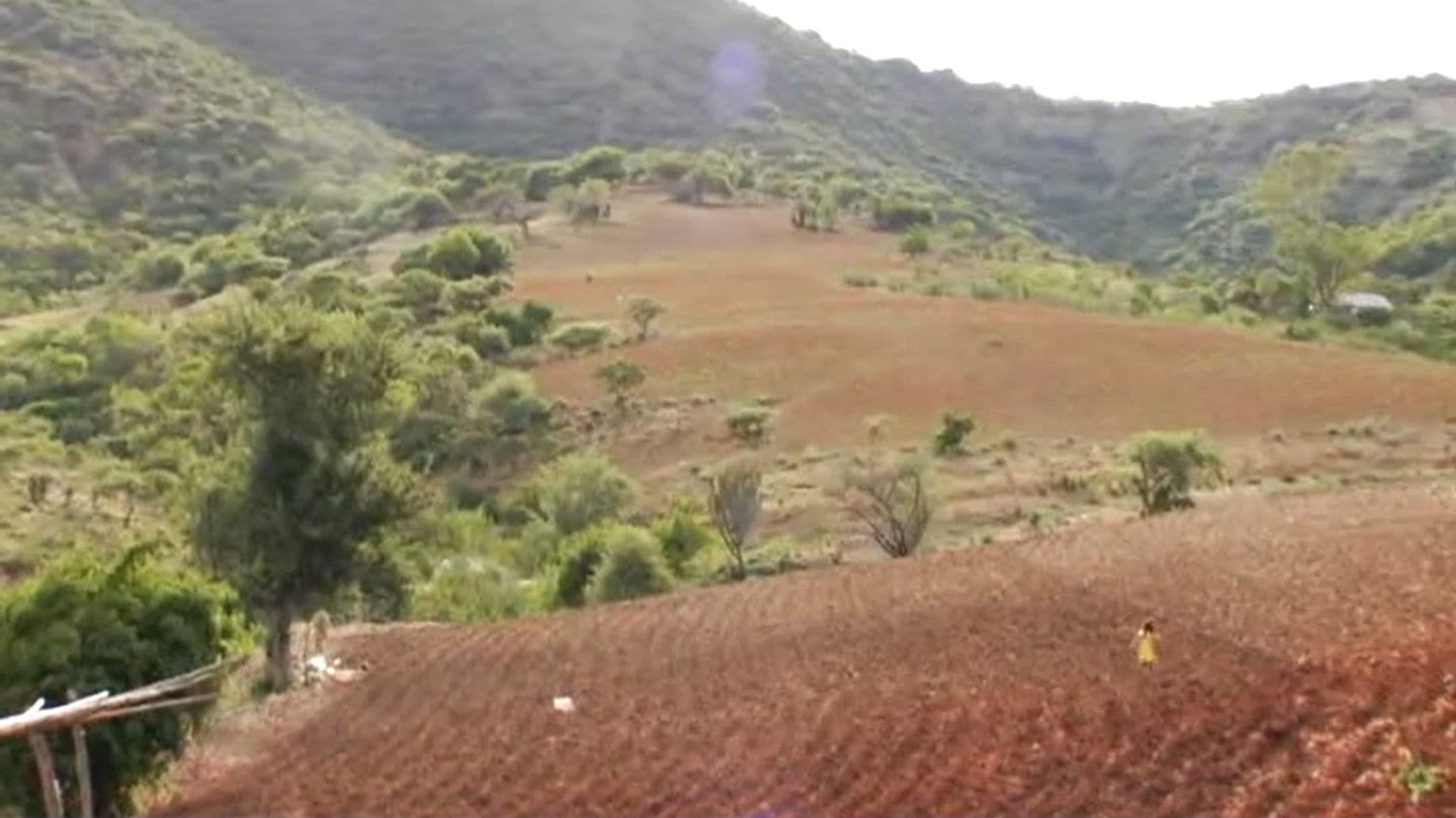 Los Herederos - Les Enfants héritiers