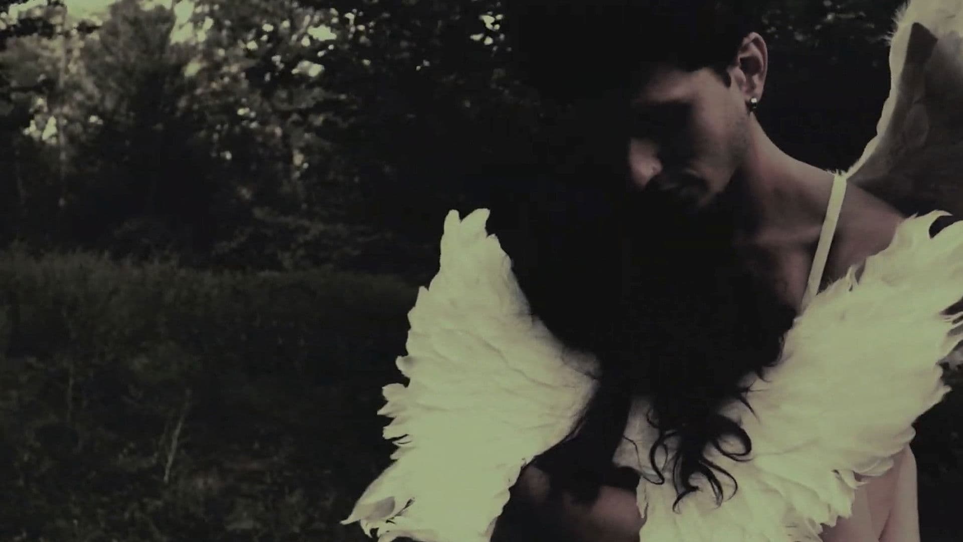 Ángeles de Medianoche