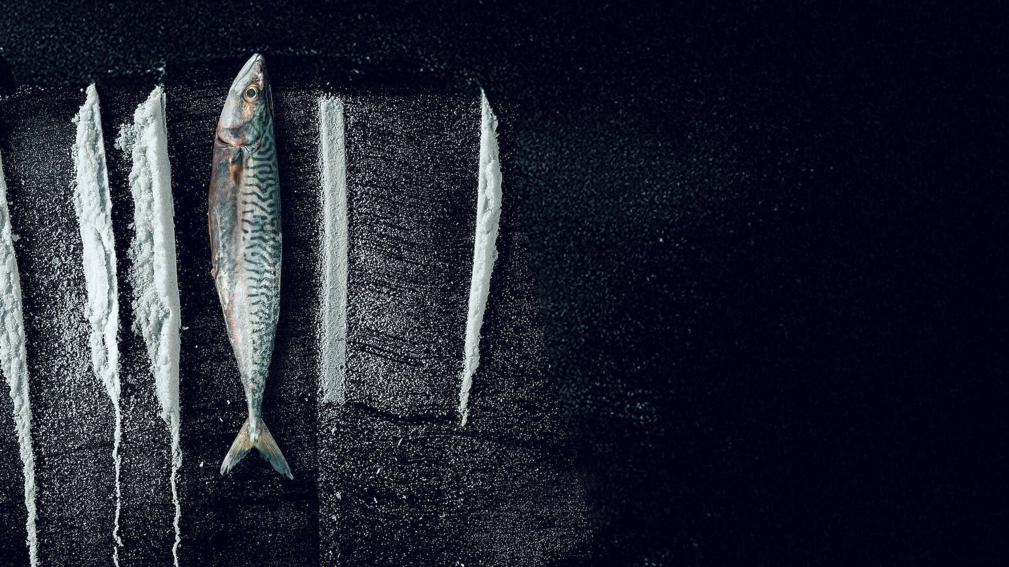 Pêche interdite : L'histoire surréaliste de Rabo de Peixe